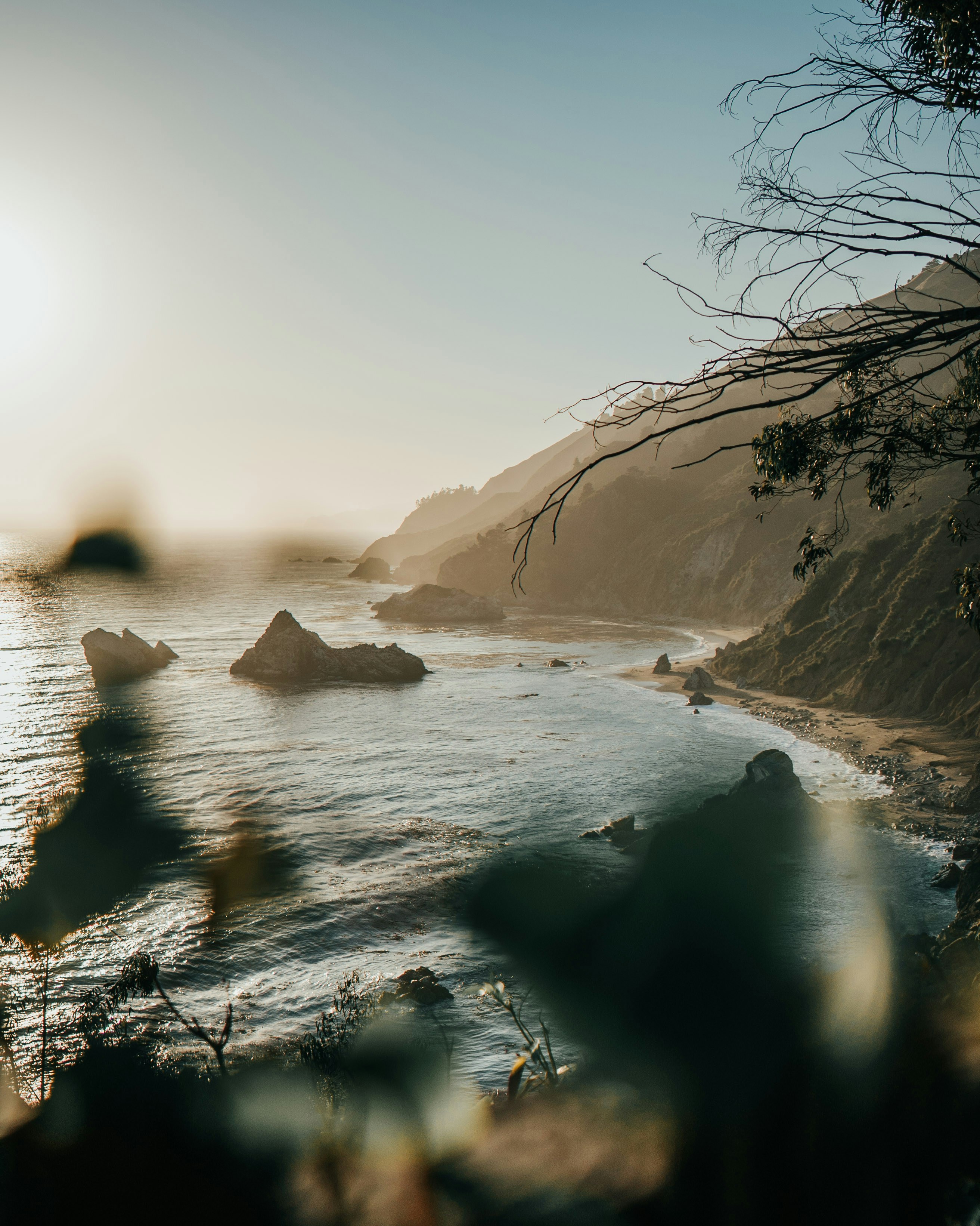 Photo by andwags