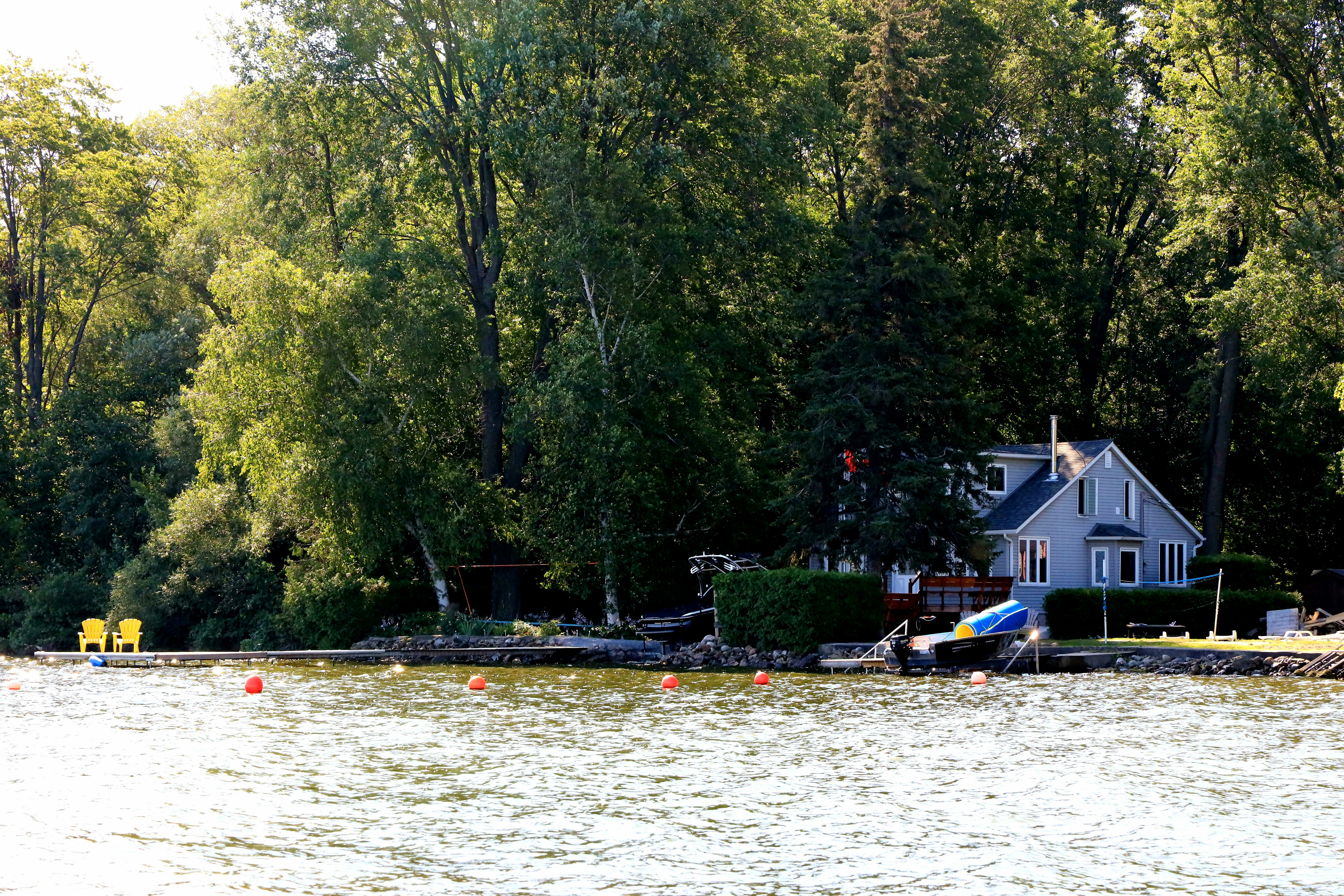white and blue boat on body of water near green trees during daytime