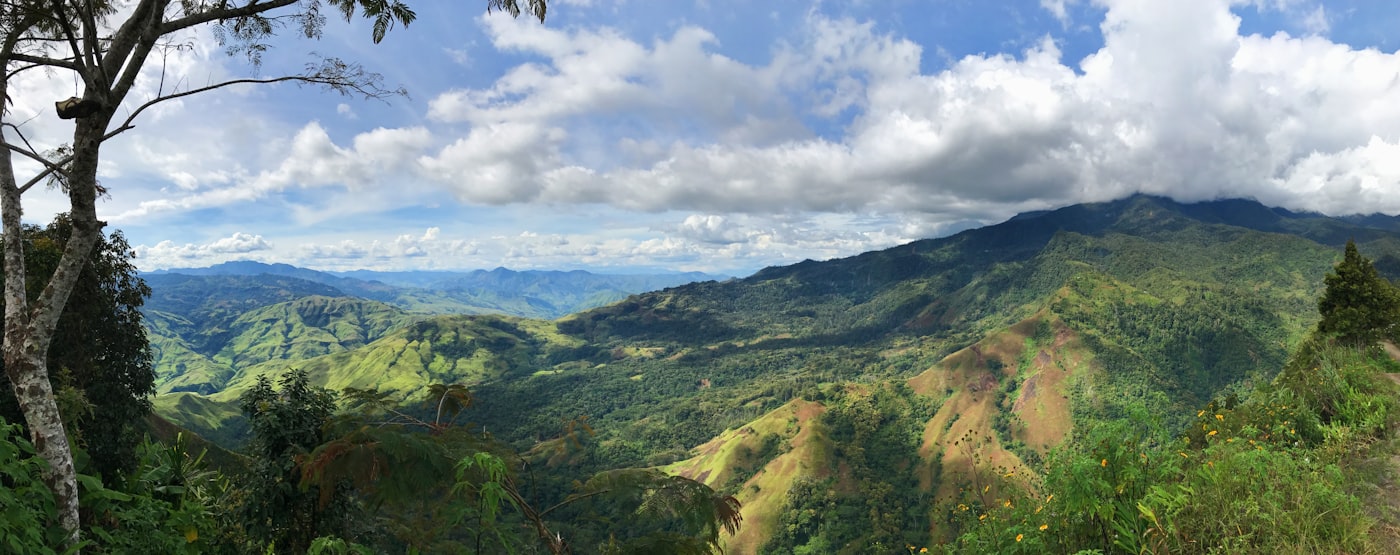 Papua New Guinea landscape with lush greenery and traditional house