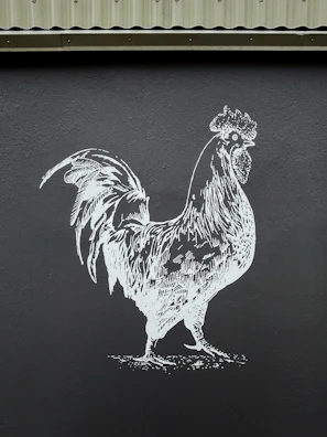 Stylish graphic design featuring silhouette of a broiler chicken with modern lines