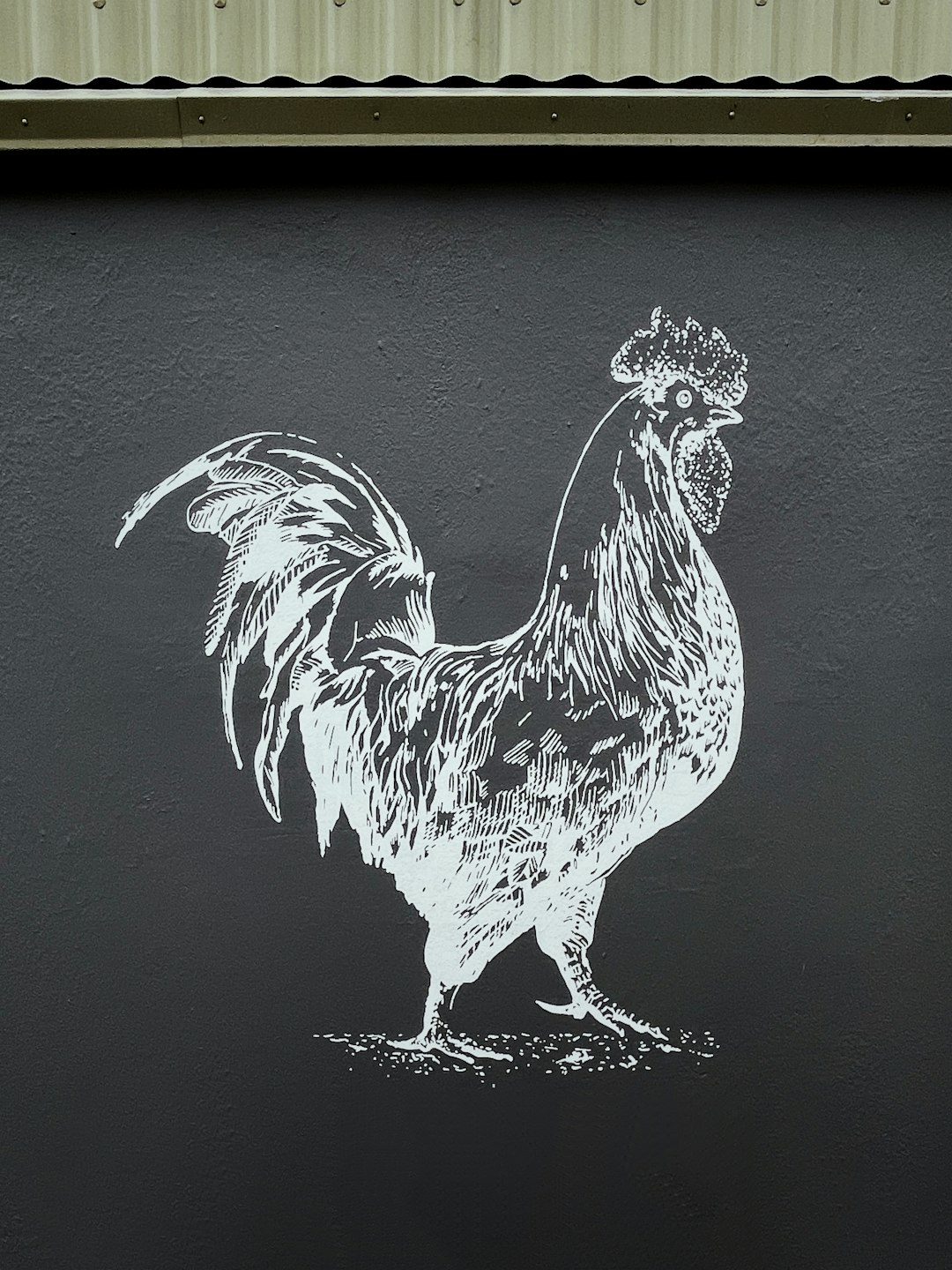black and white rooster illustration