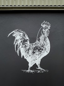 A monochrome illustration of a rooster is depicted on a dark surface. The drawing features intricate line work, highlighting the rooster's feathers and form against a flat backdrop.