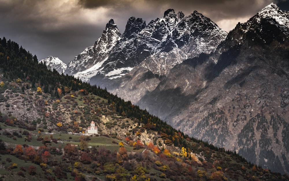 green and brown trees near mountain during daytime