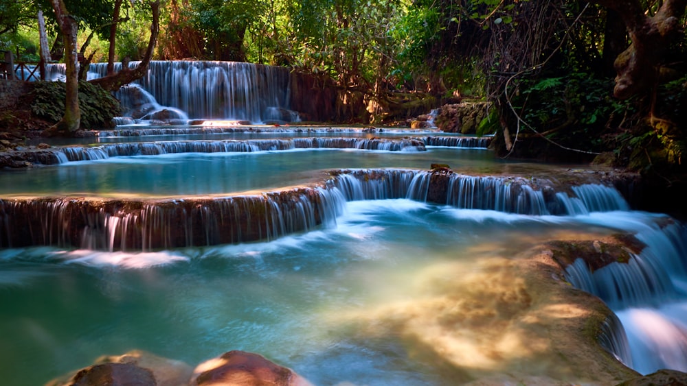 water falls in the middle of green trees