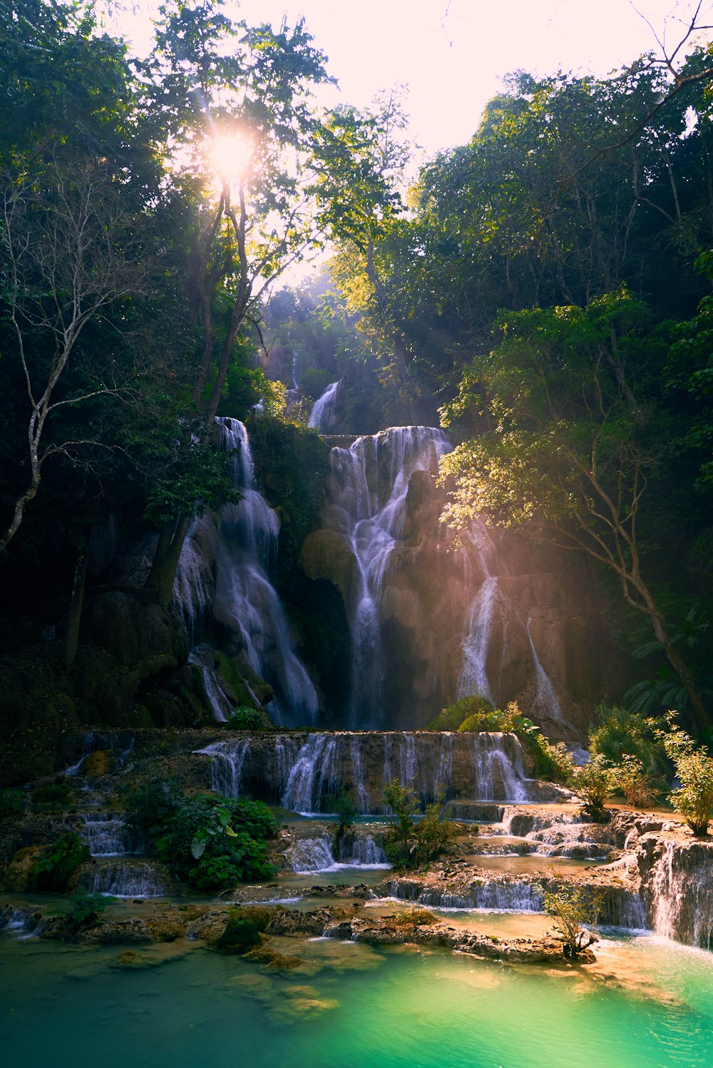 waterfalls in the middle of the forest during daytime