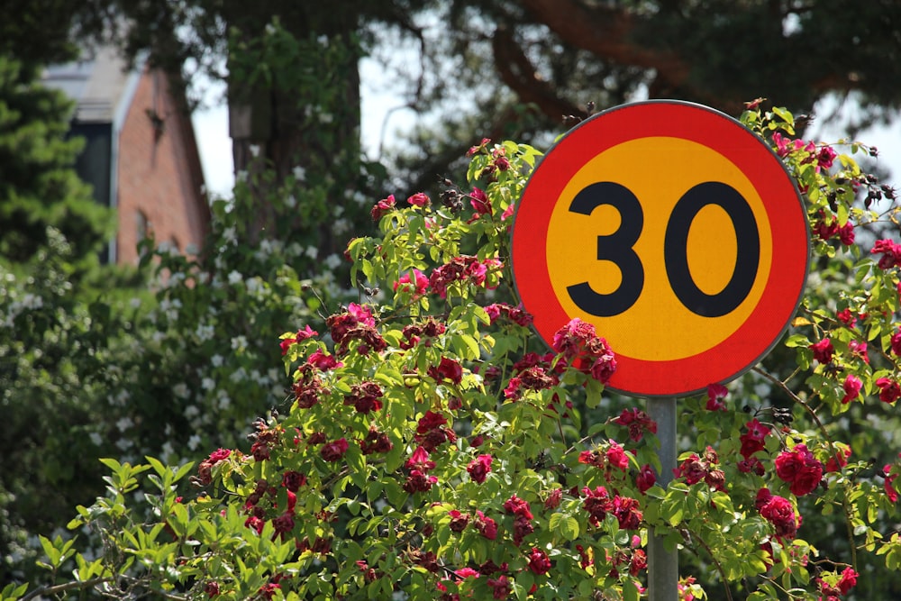 red and white stop sign