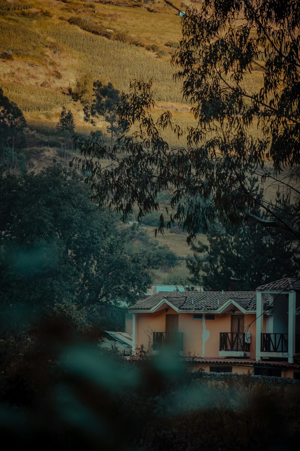 white and brown house near green trees