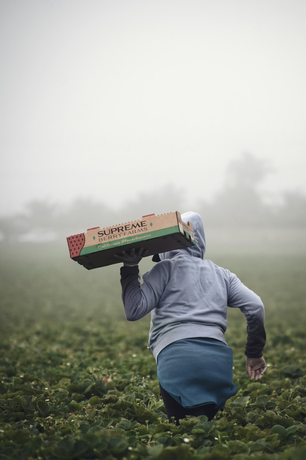 person in gray hoodie holding green and brown carton