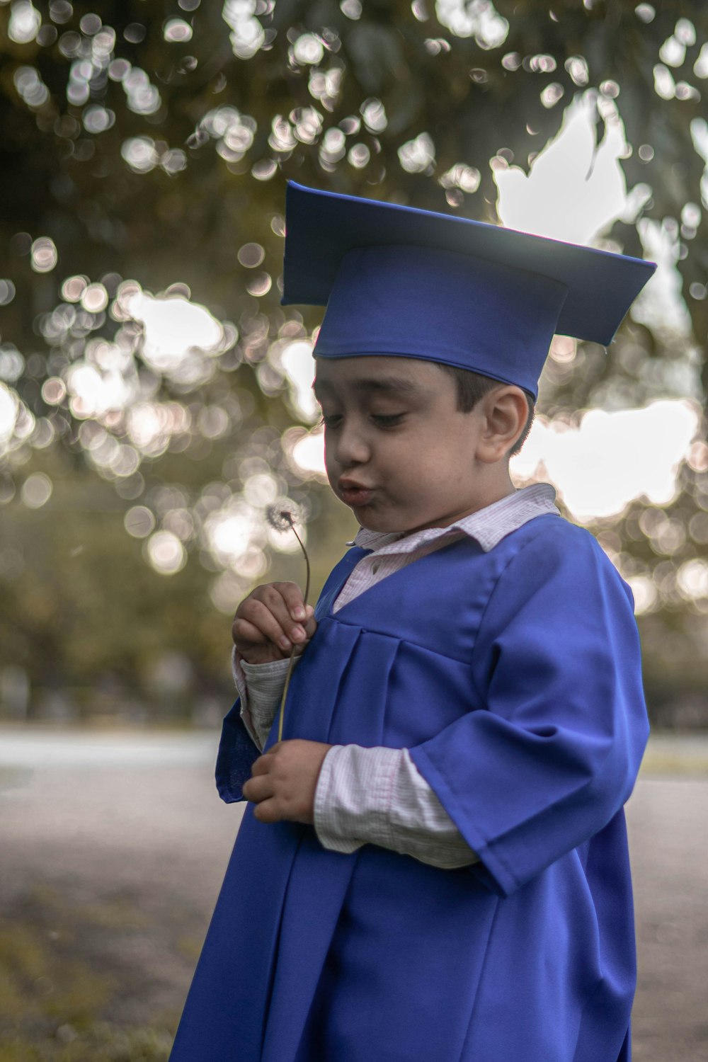 boy in blue academic dress and mortar board