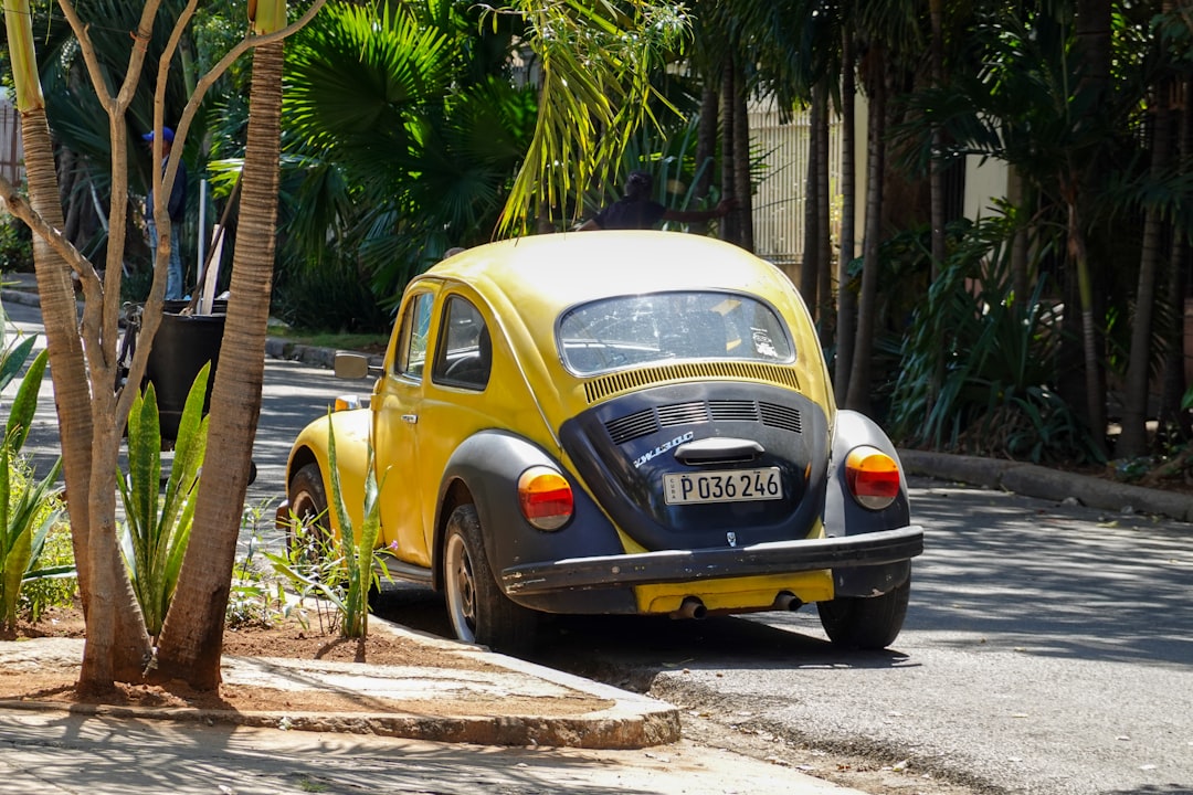 yellow volkswagen beetle parked beside palm tree during daytime