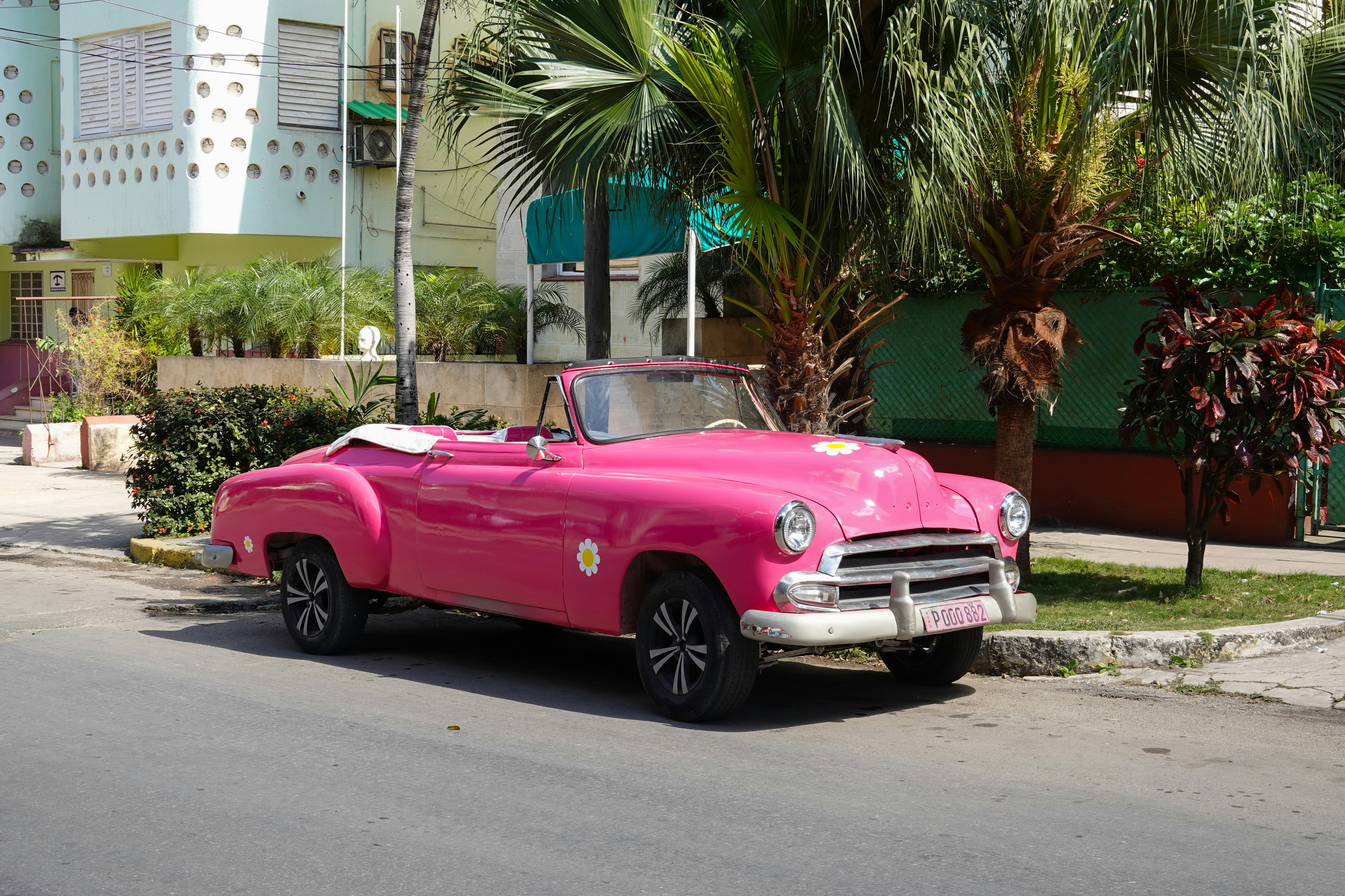 pink chevrolet camaro parked on roadside during daytime