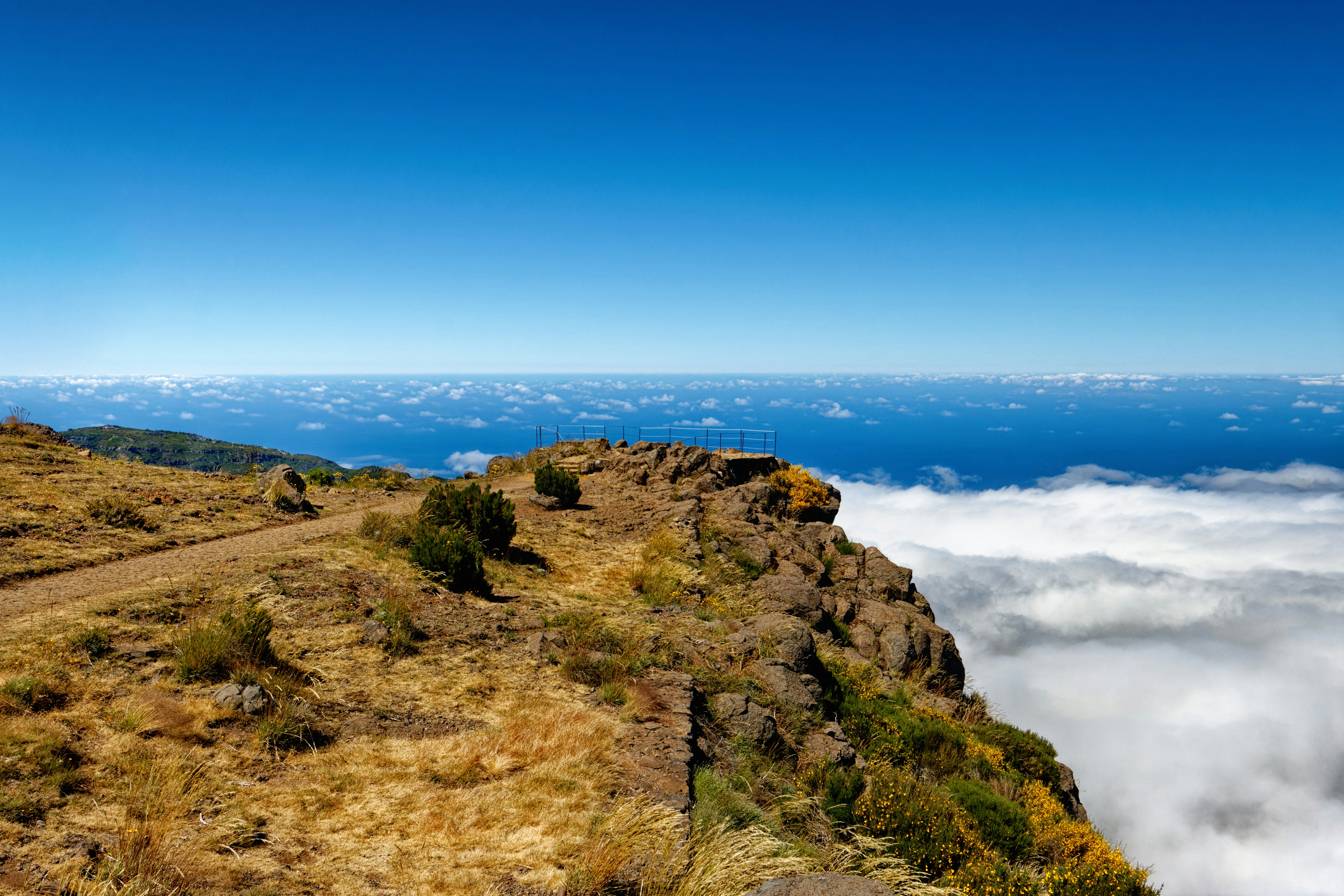 green grass covered mountain near blue sea under blue sky during daytime