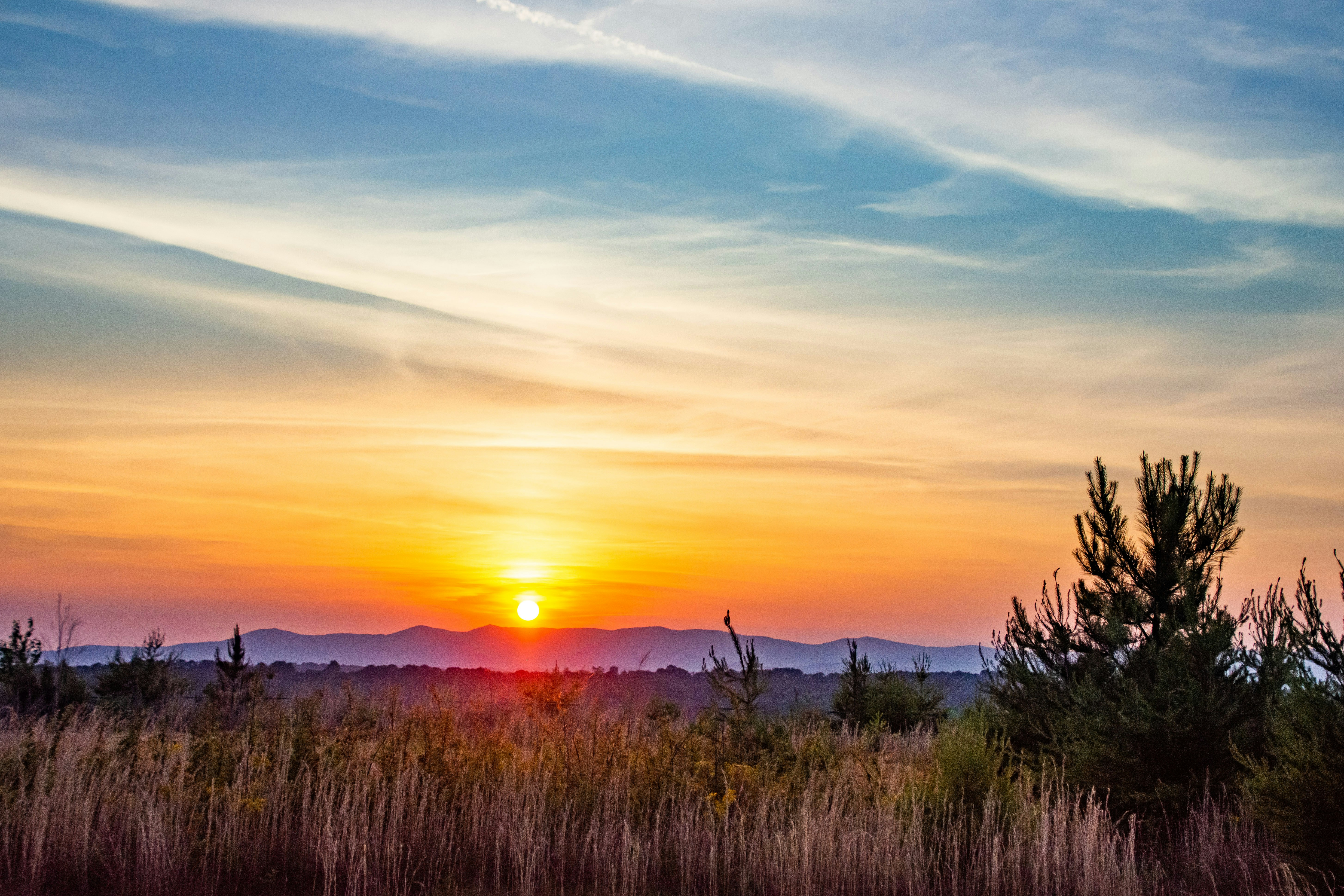 green grass field during sunset