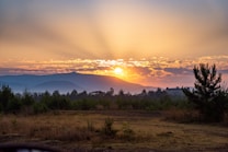 A serene landscape with the sun setting behind distant mountains, casting rays of light through scattered clouds. In the foreground, tall grass and sparse pine trees create a natural setting, offering a peaceful and tranquil atmosphere.