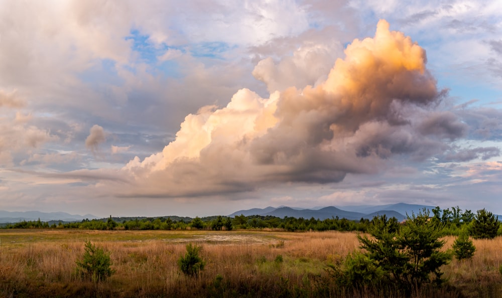 green grass field under white clouds during daytime