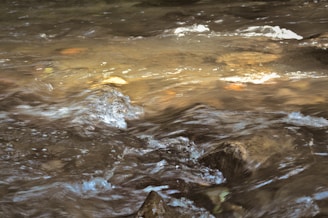 The image depicts a flowing stream with water rippling over rocks. Sunlight reflects off the surface, casting a golden hue across the moving water, creating a dynamic and serene scene.