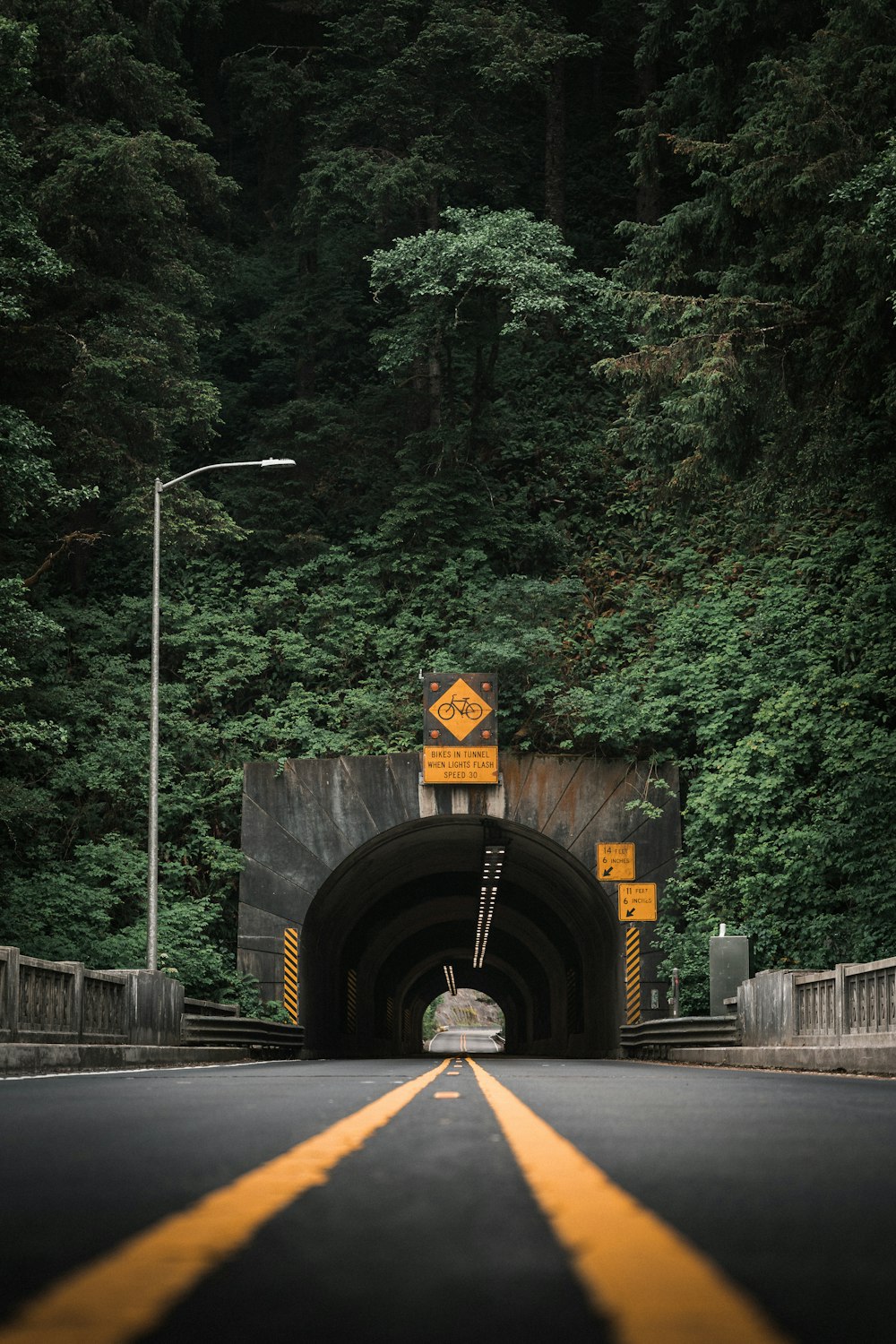 brown wooden tunnel near green trees during daytime