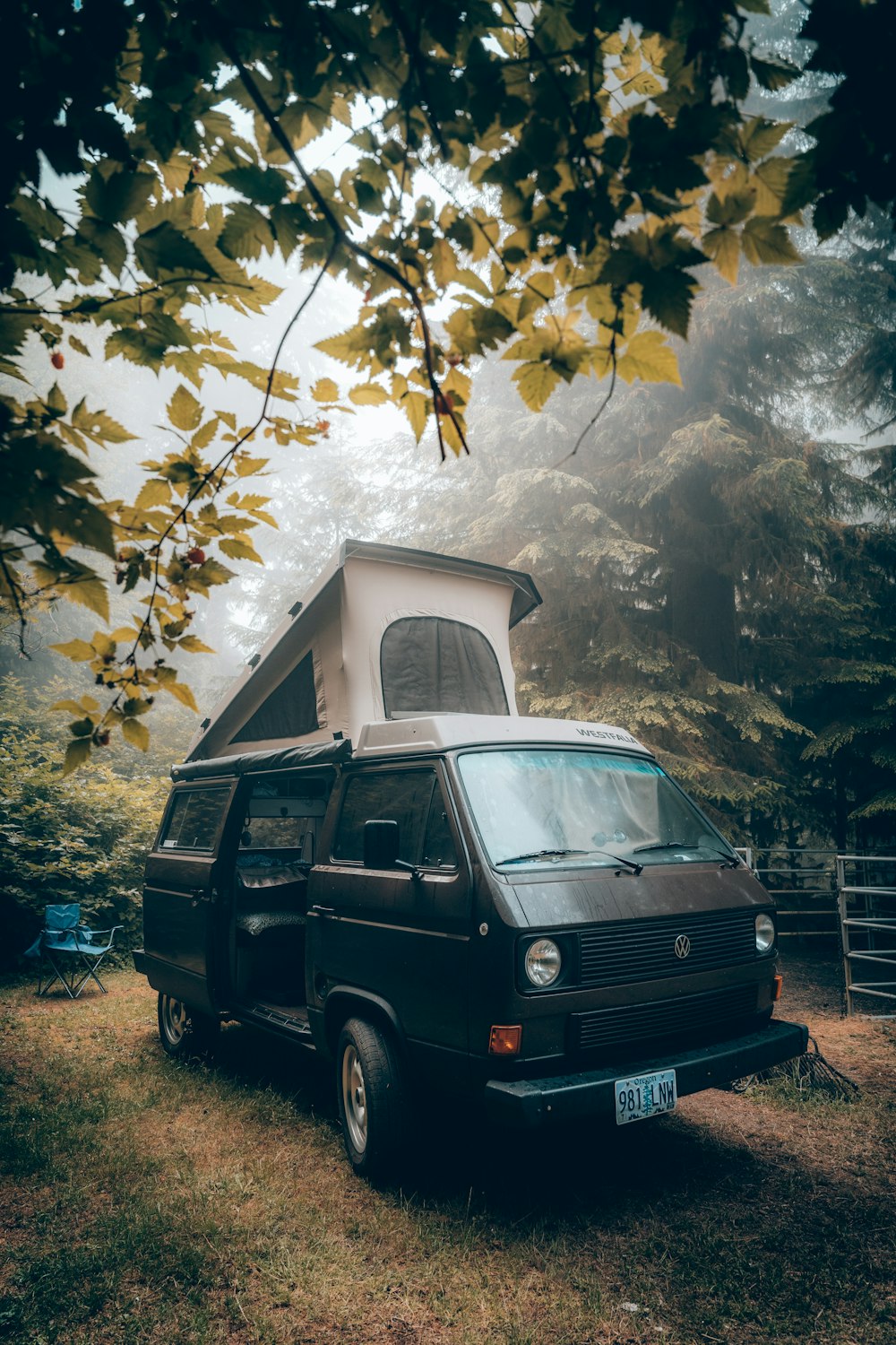 black van parked near green trees during daytime