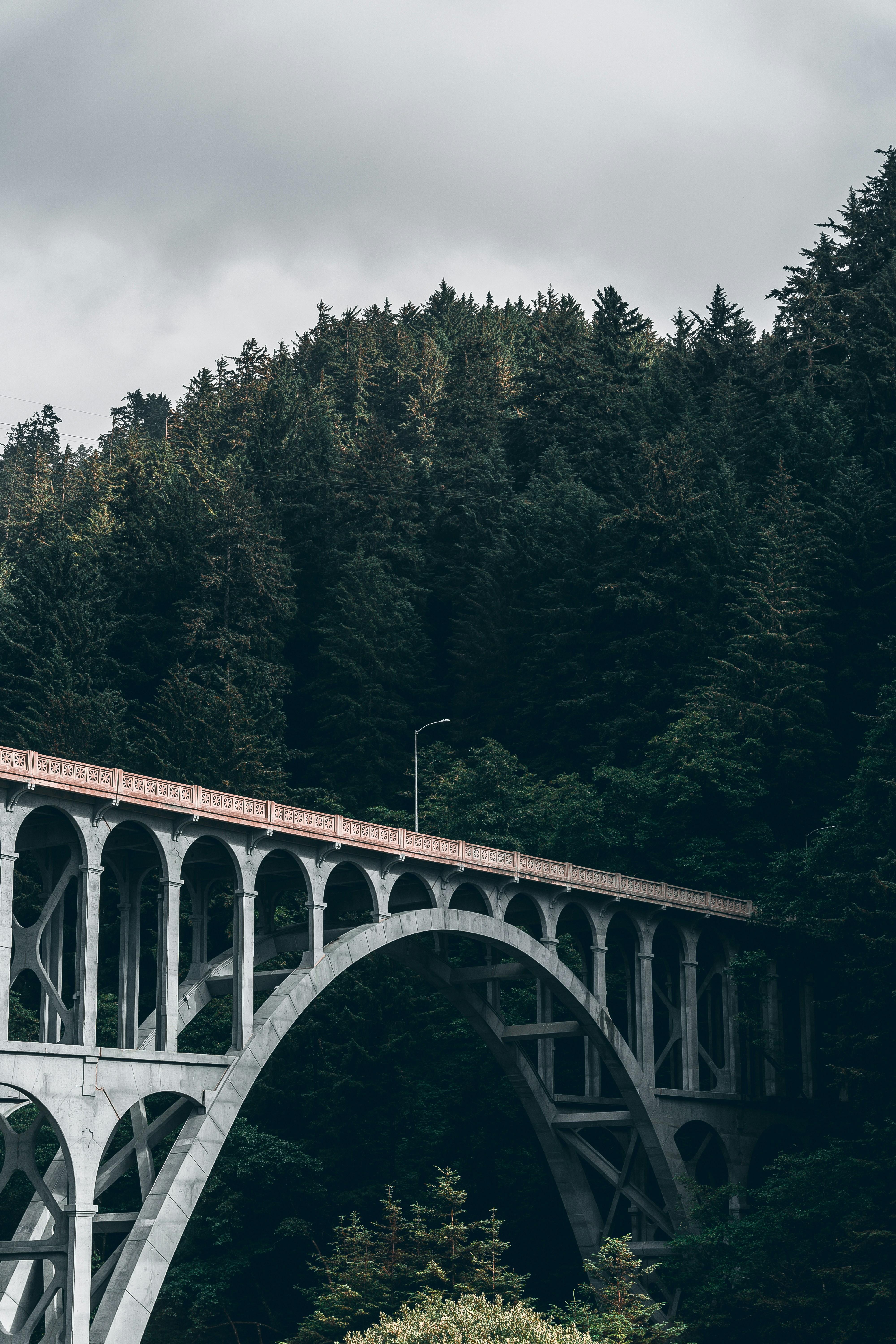 white concrete bridge over river surrounded by green trees during daytime