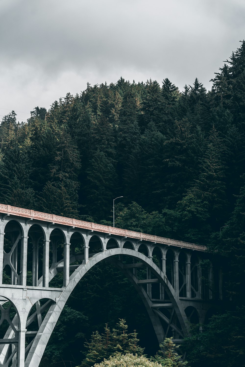 white concrete bridge over river surrounded by green trees during daytime