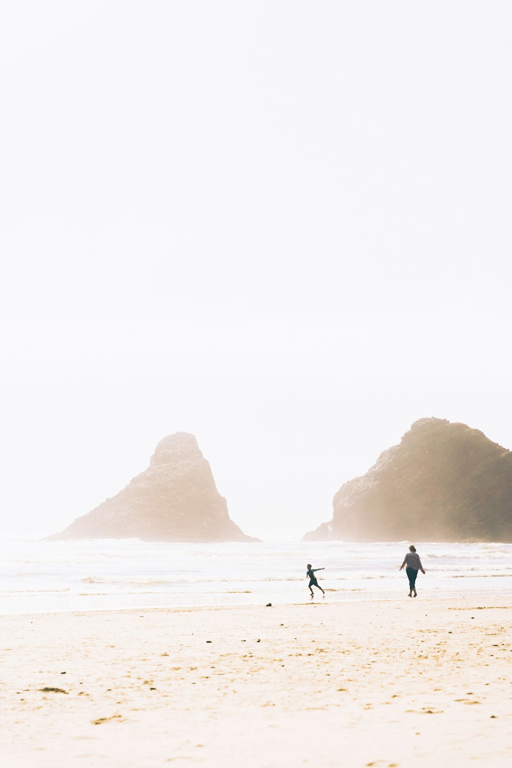 silhouette of 2 people walking on beach during daytime