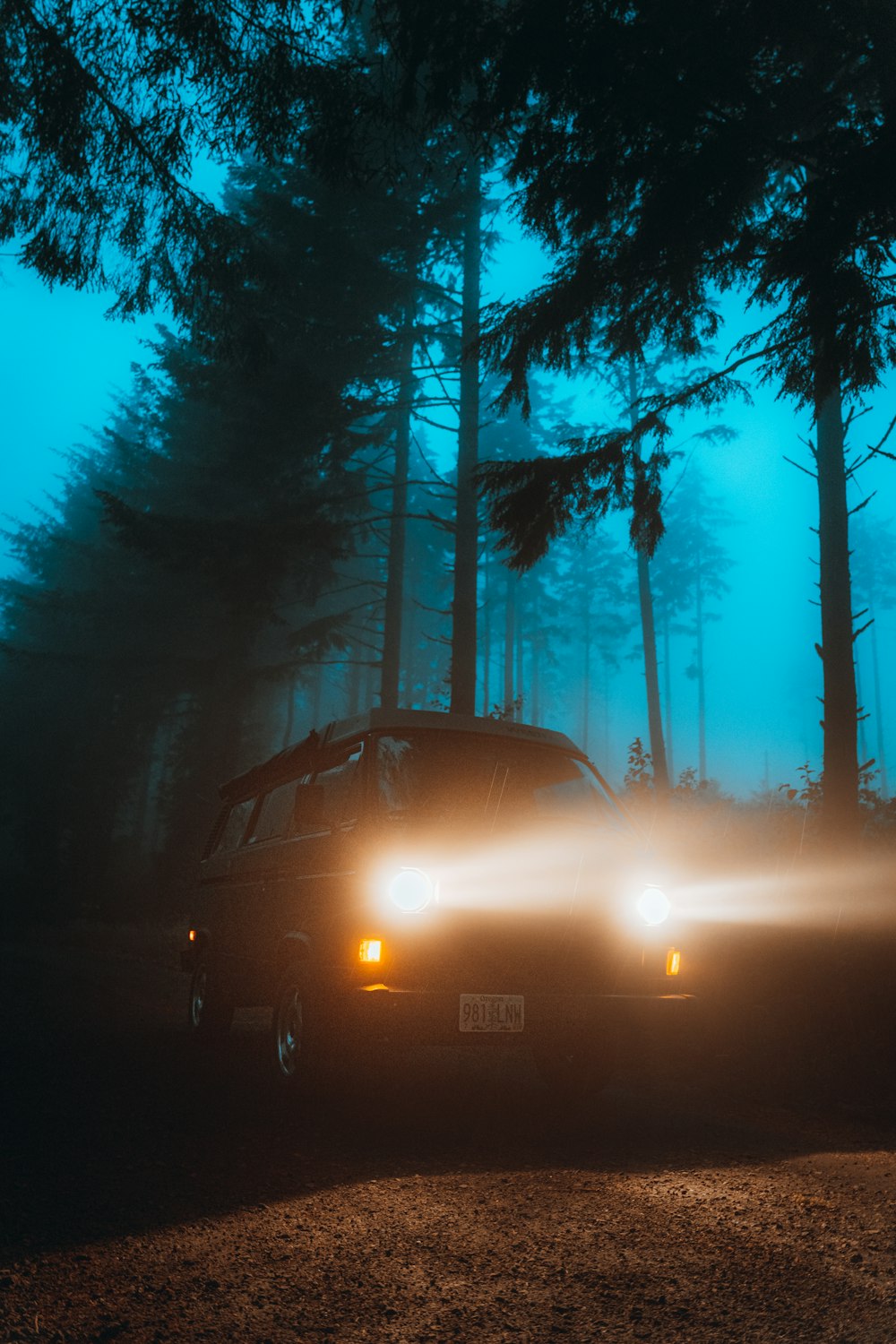 black car on road between trees during night time