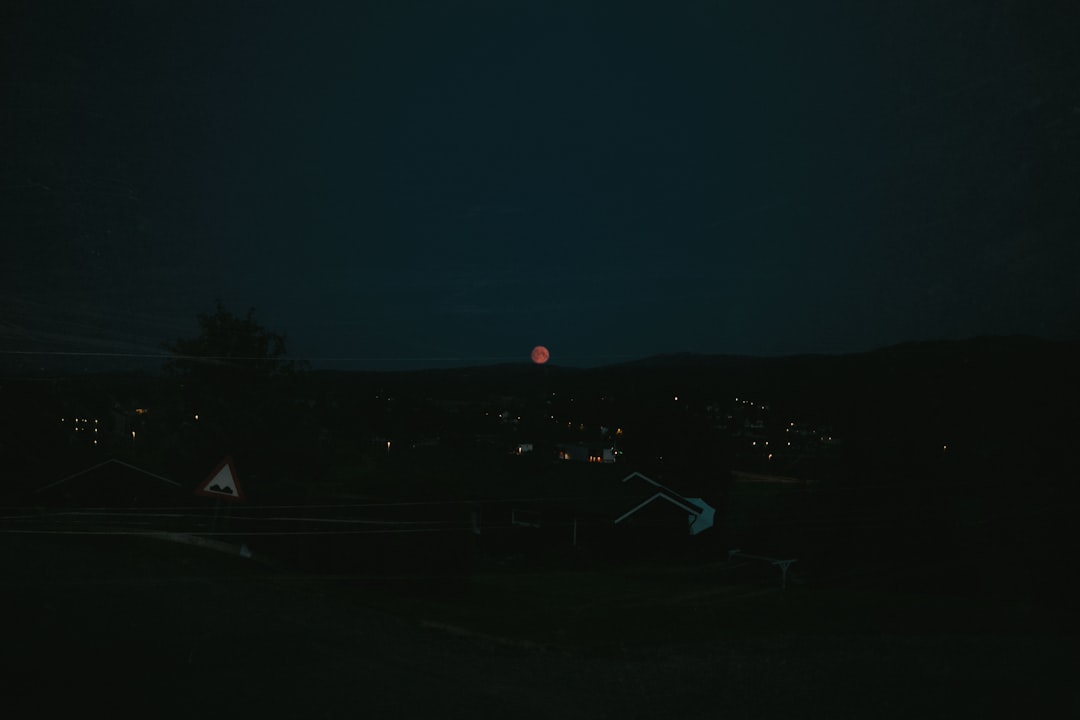 people walking on road during night time