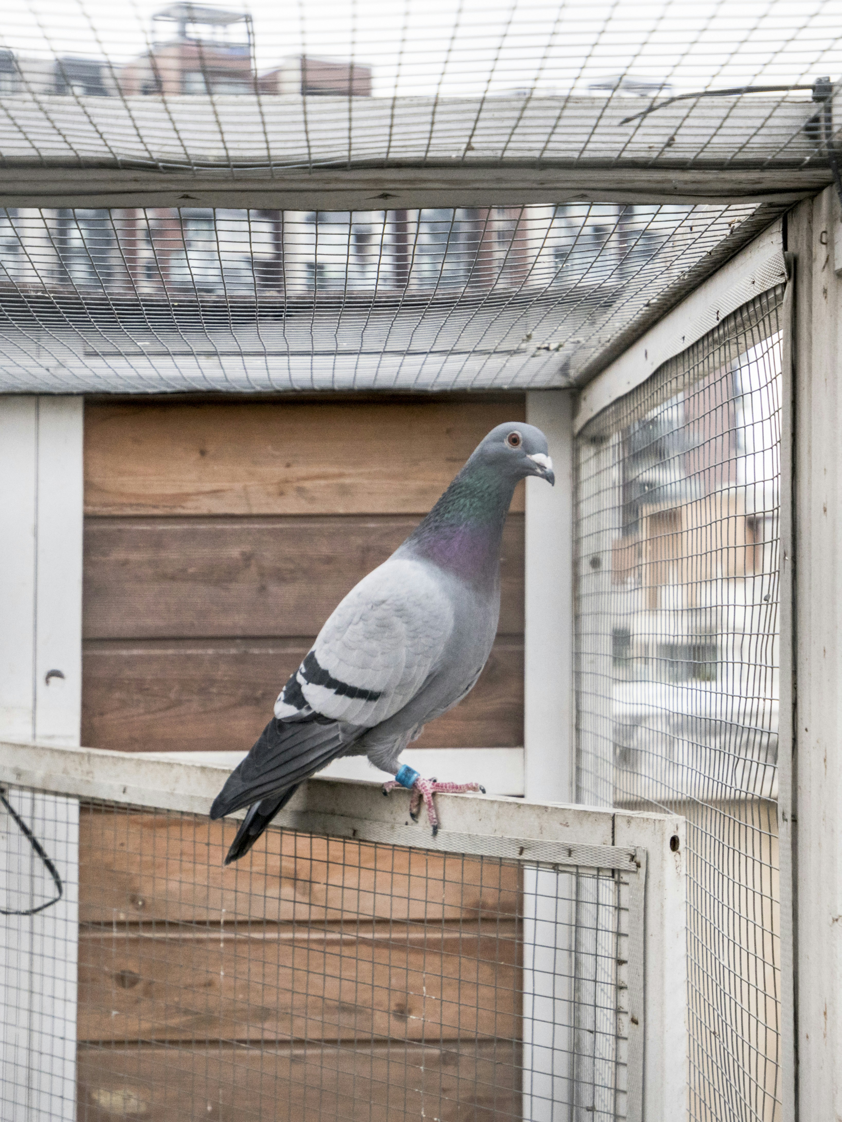 Photo by mw960367054