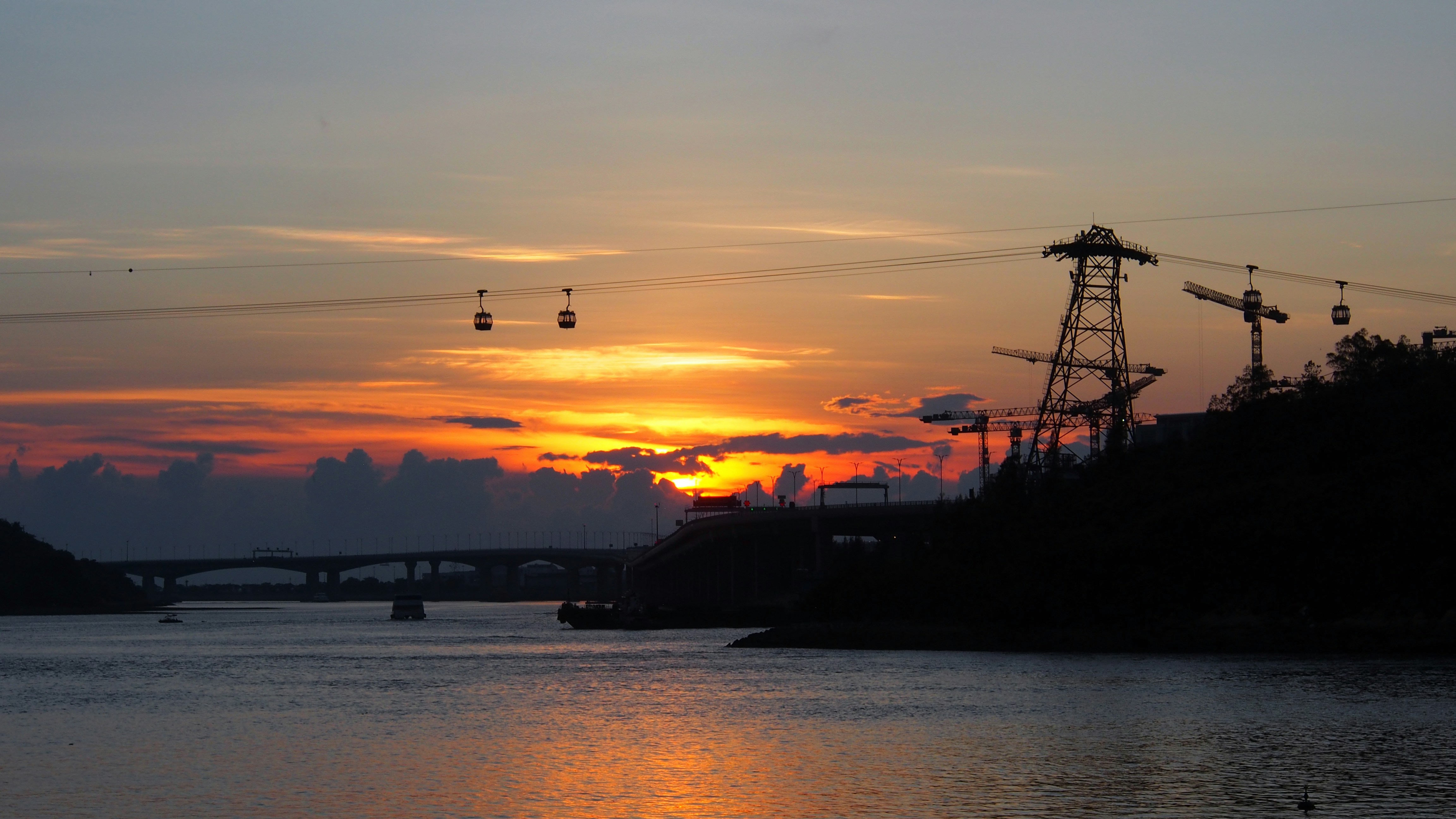 silhouette of birds flying over the sea during sunset