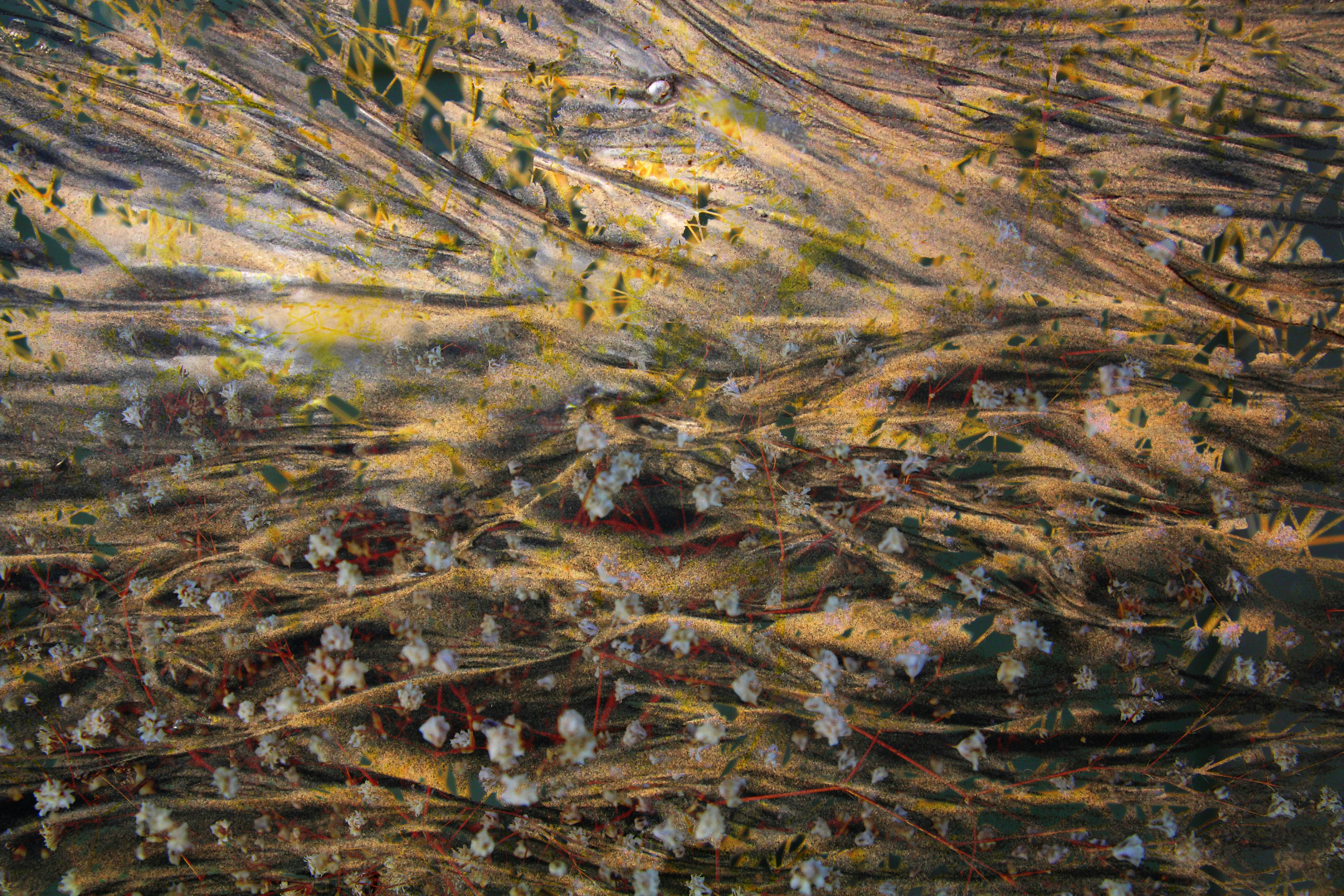 Photo by splashabout