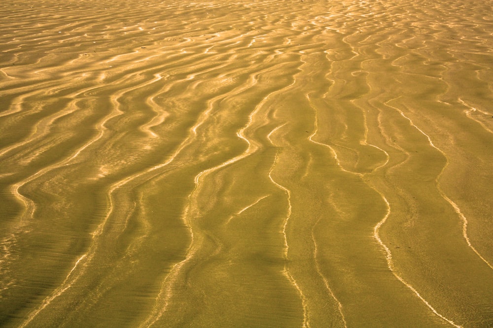 brown sand with water during daytime