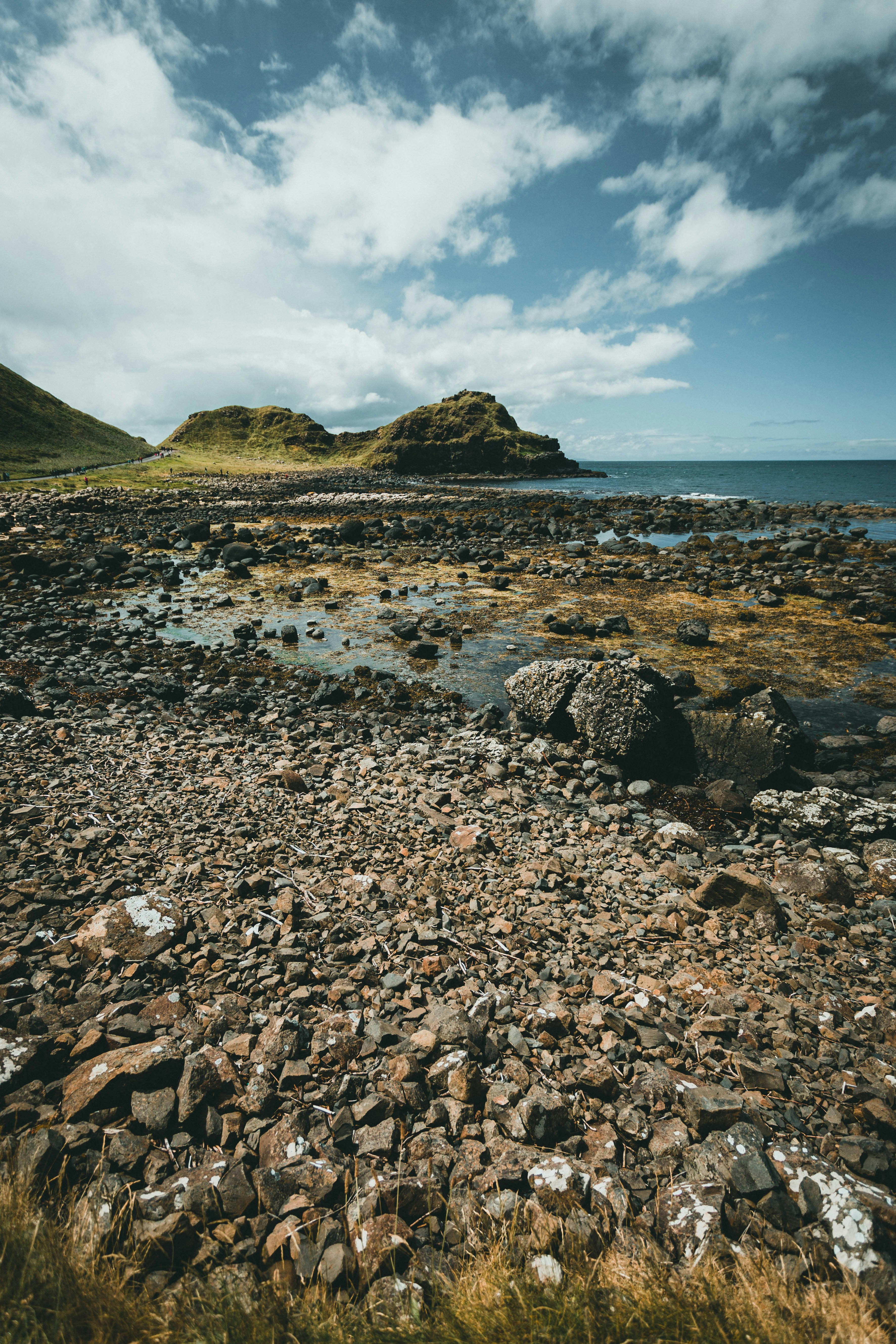 Photo by theshuttervision