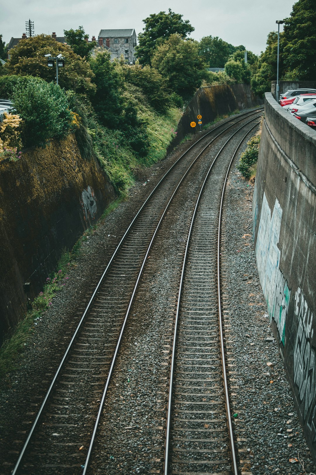 train rail in the middle of the forest