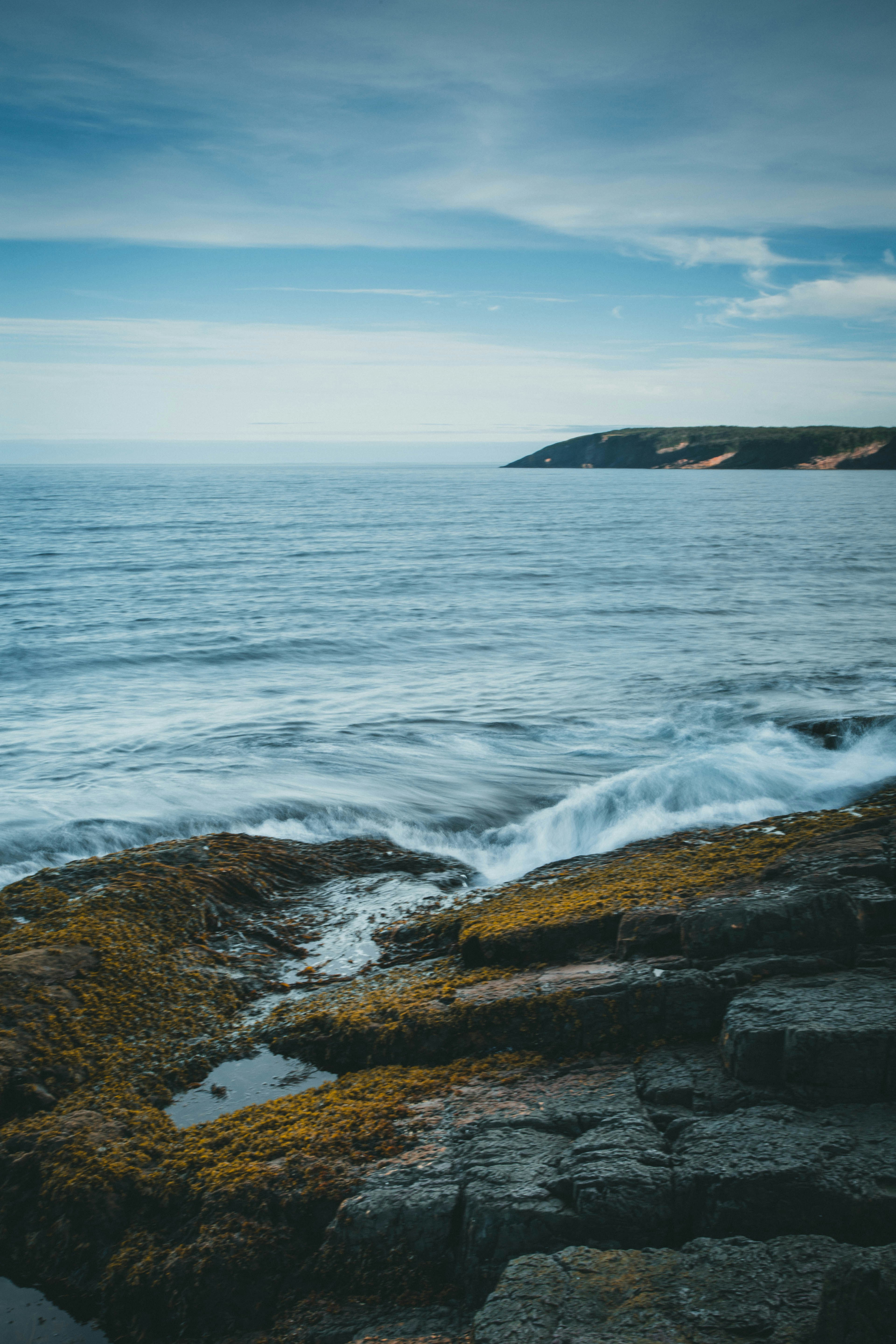 Photo by theshuttervision