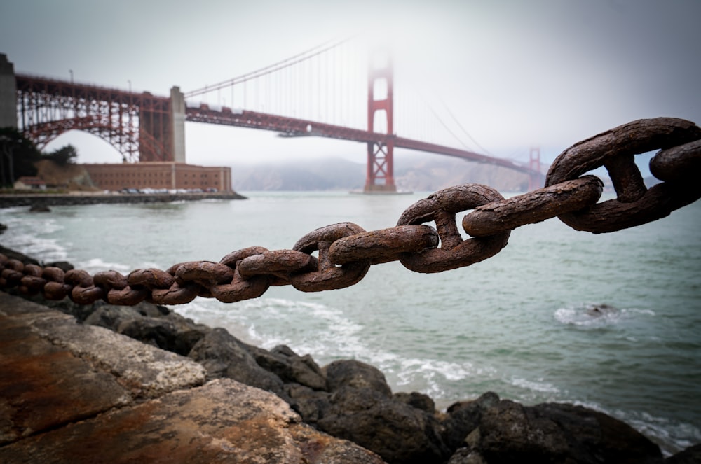 brown metal chain on rock near body of water during daytime