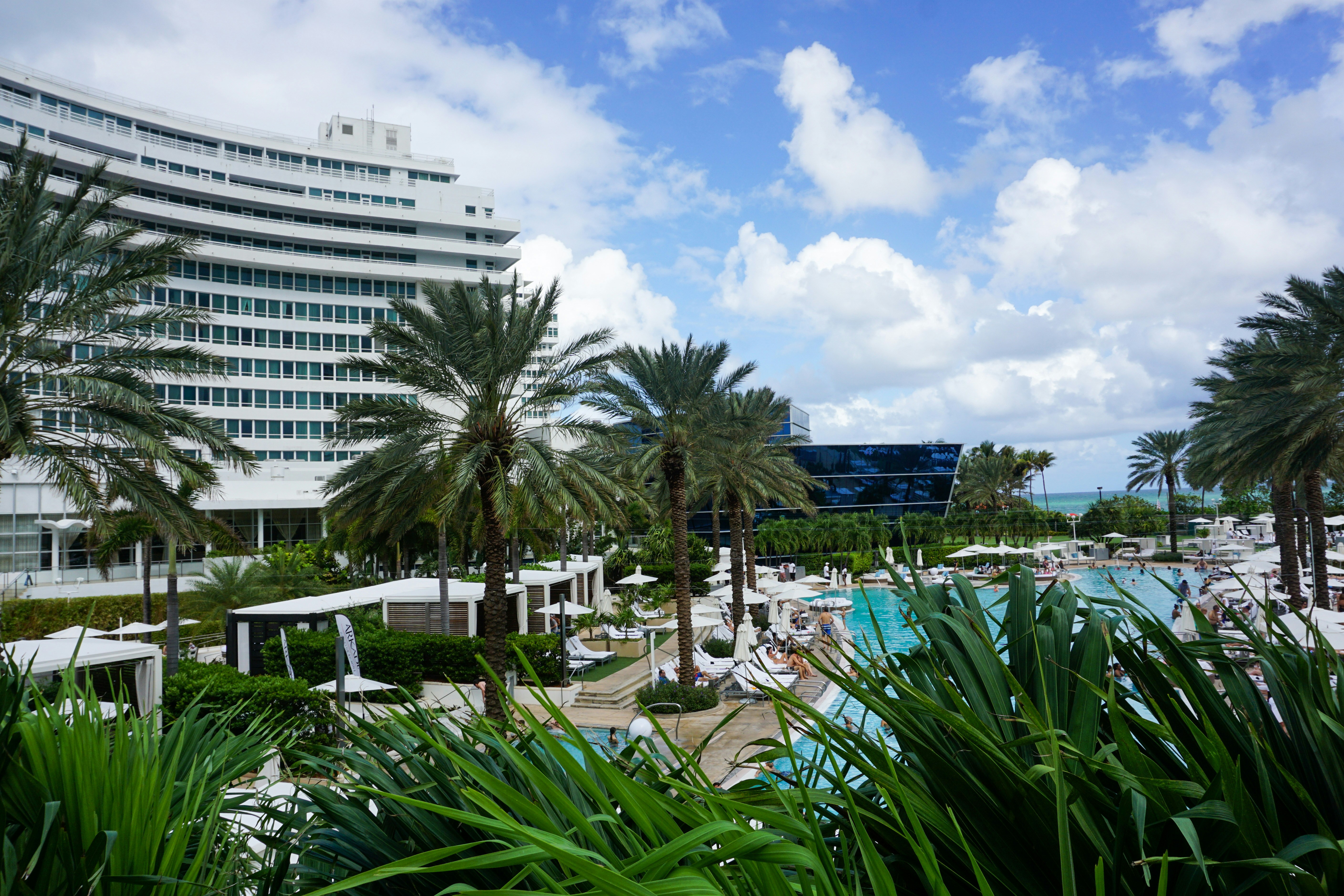 green palm trees near white concrete building during daytime