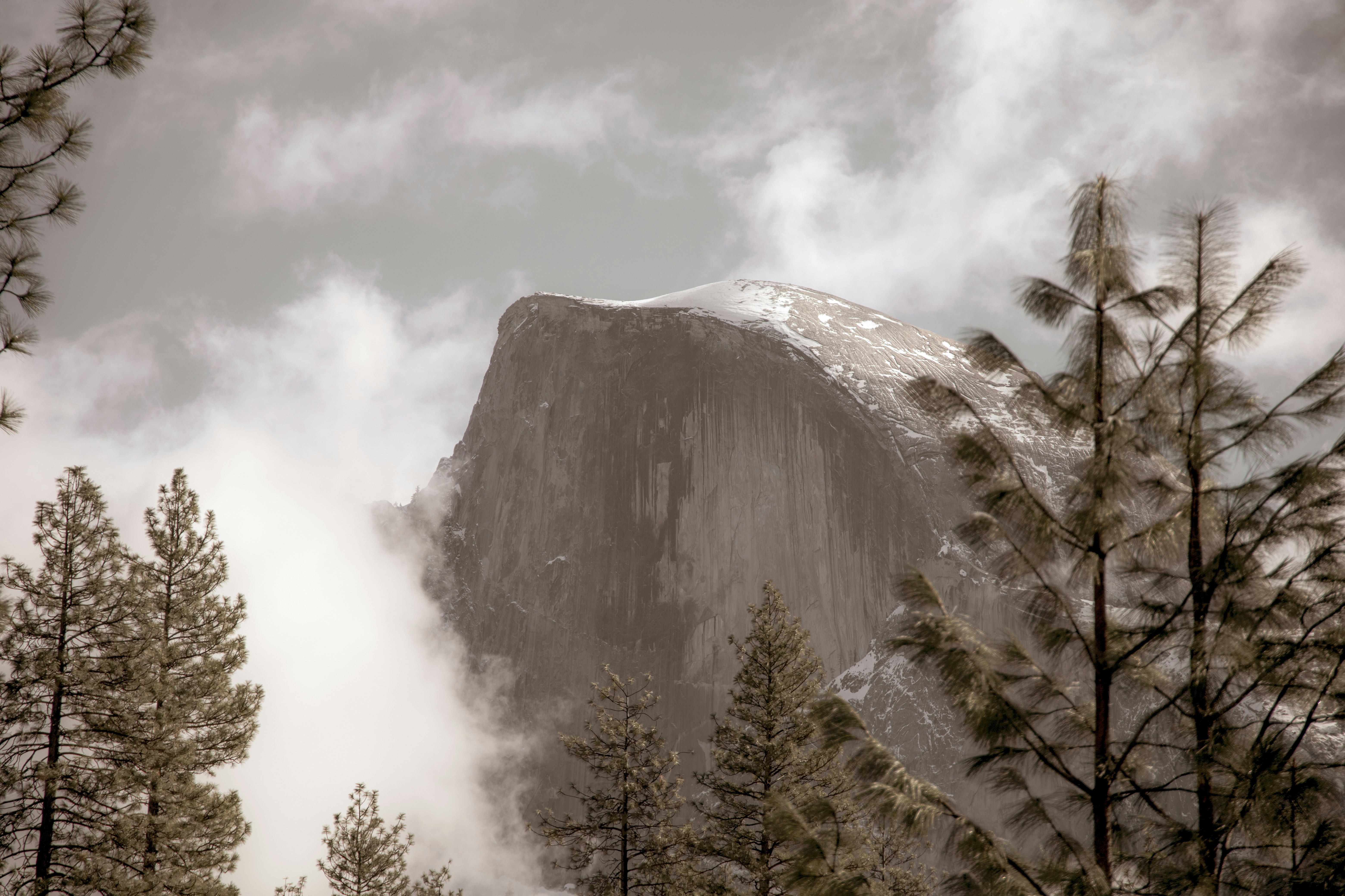 Photo by difedephotography