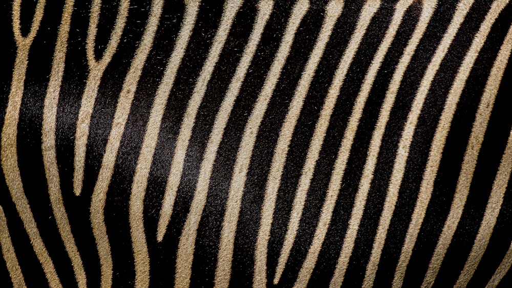 black and white striped textile