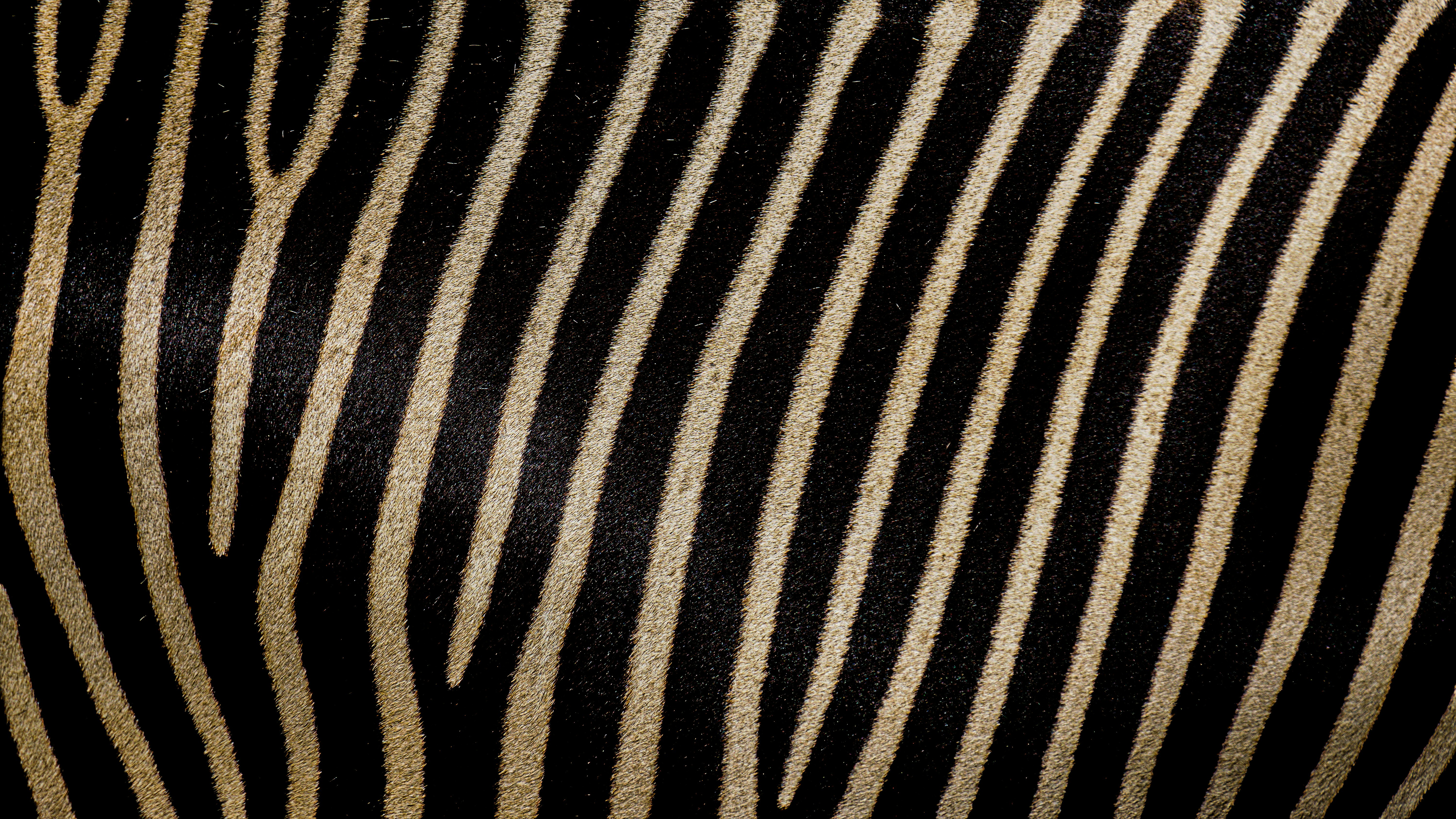black and white striped textile