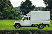 white truck on green grass field during daytime
