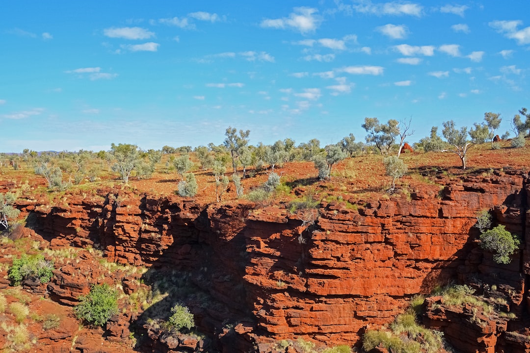 brown rock formation near green trees under blue sky during daytime