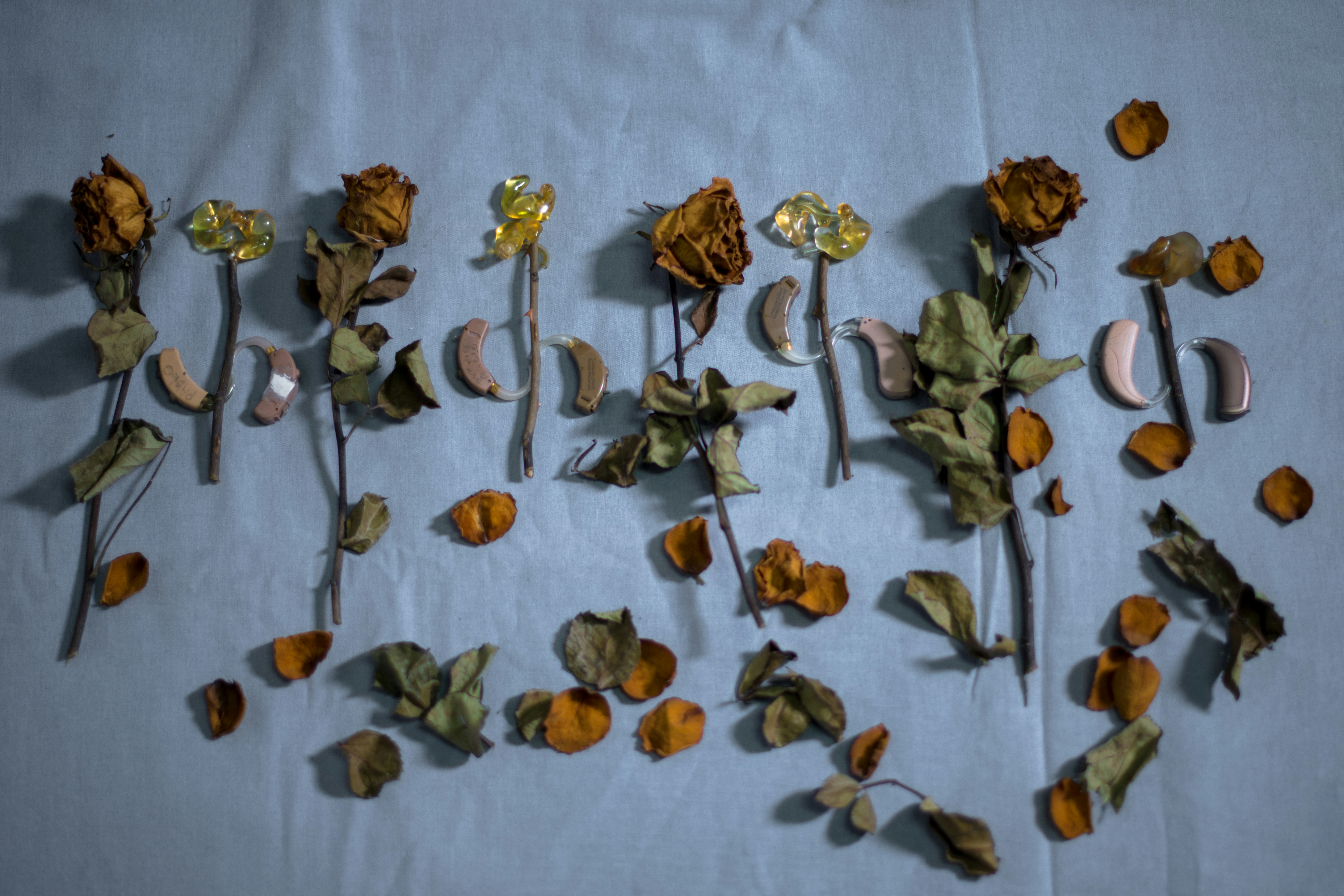 yellow and green flower petals