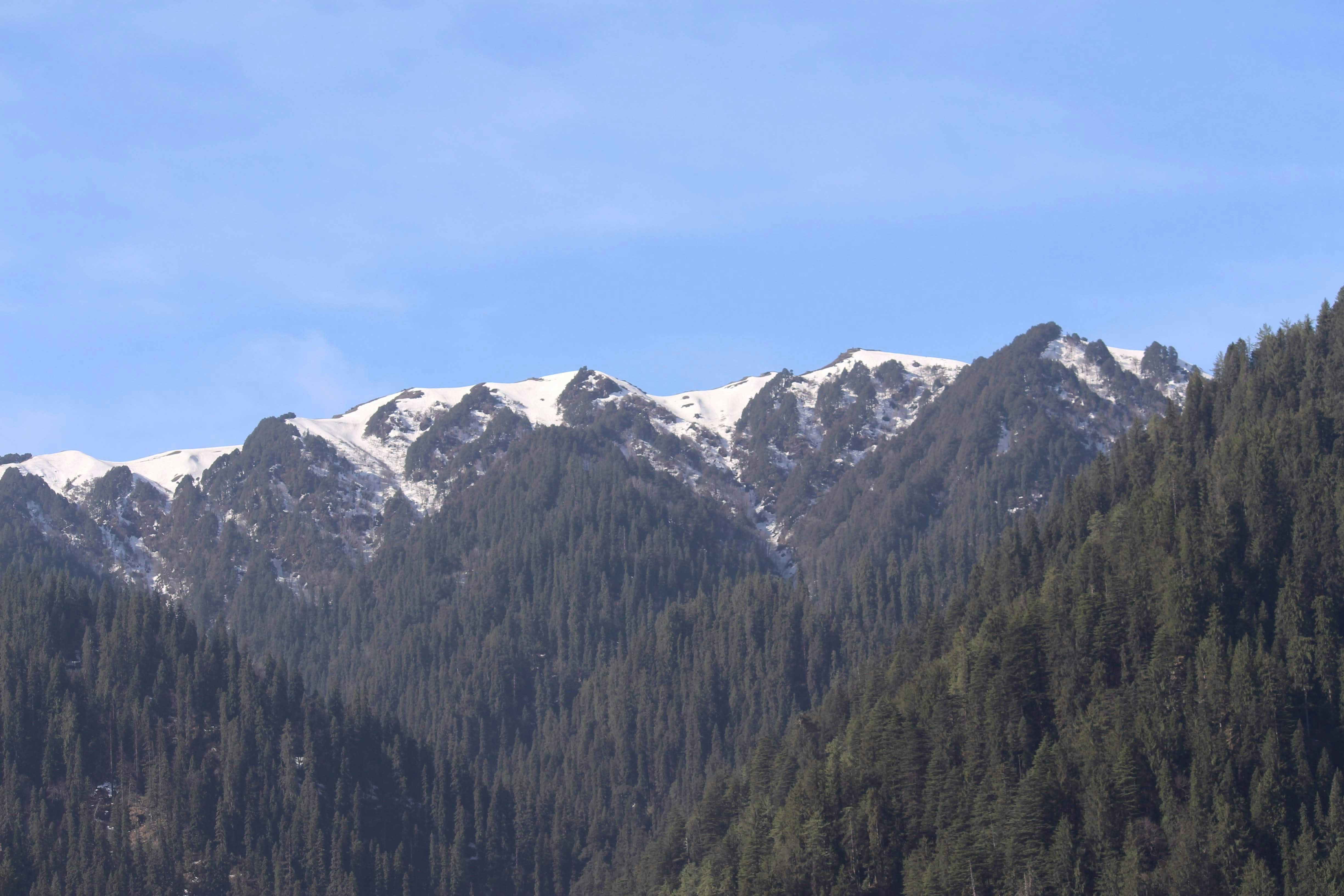 Photo by yrduser2041