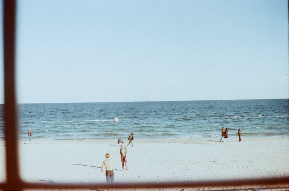 people on beach during daytime