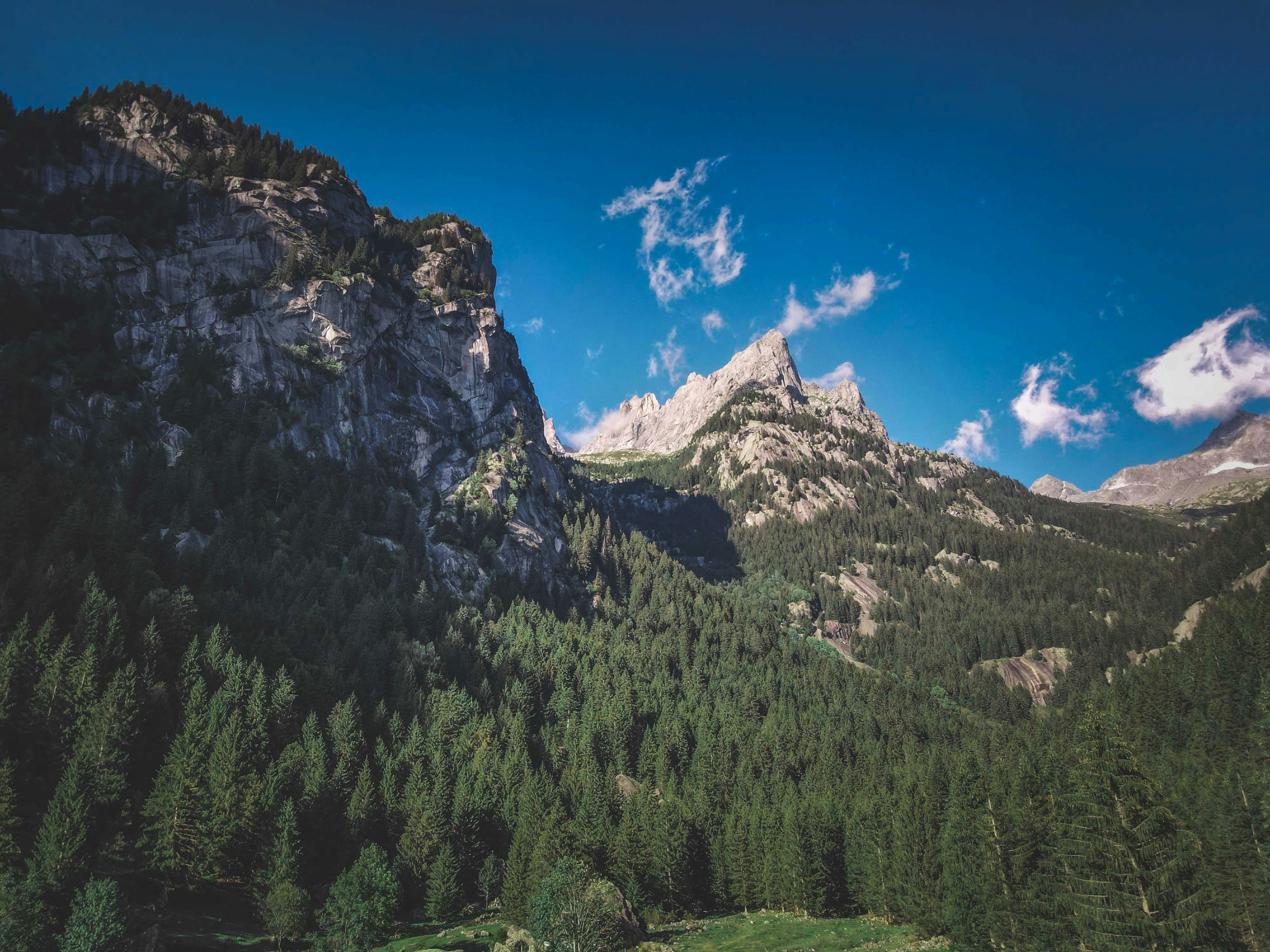 Photo by francesco_ungaro