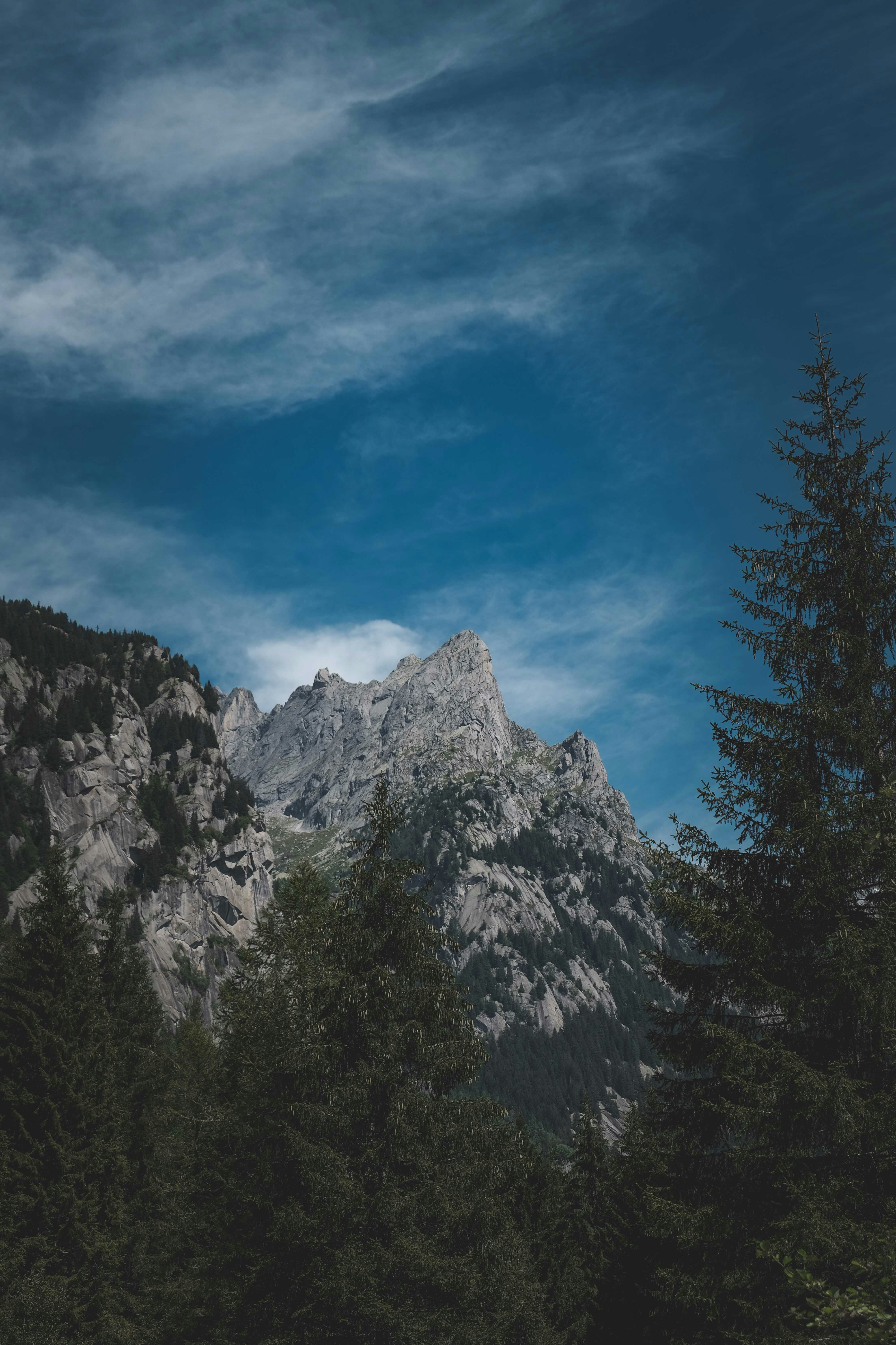 Photo by francesco_ungaro