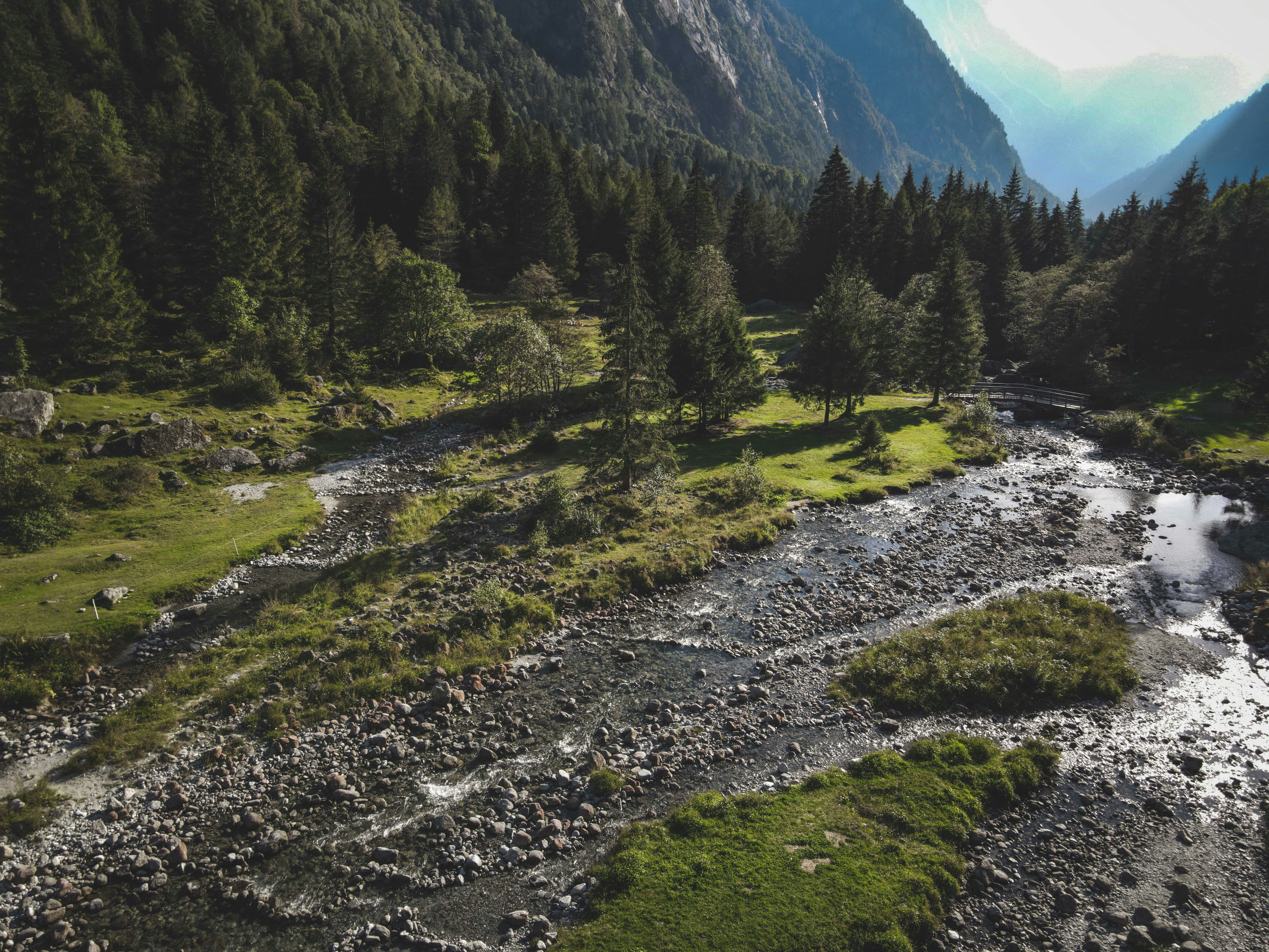 Photo by francesco_ungaro