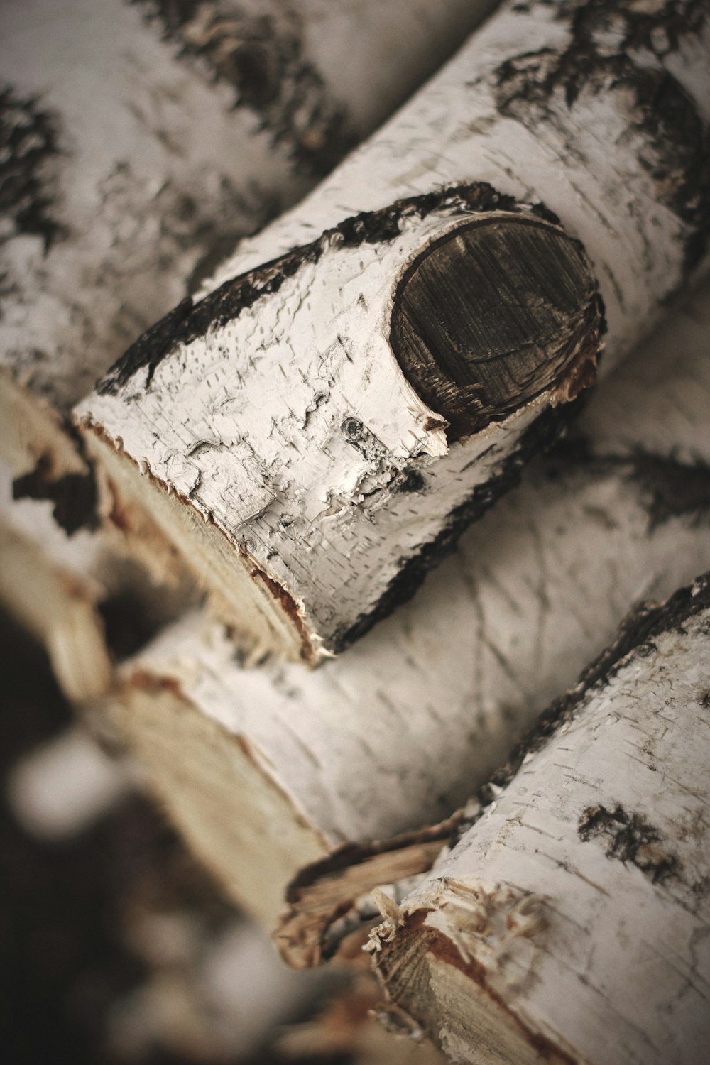 brown wooden log in close up photography