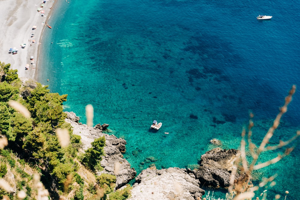 aerial view of people on beach during daytime