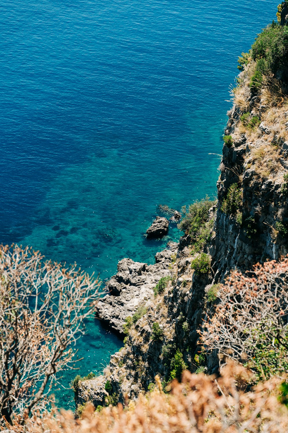 Plan d’eau bleu près des montagnes Rocheuses brunes et vertes pendant la journée